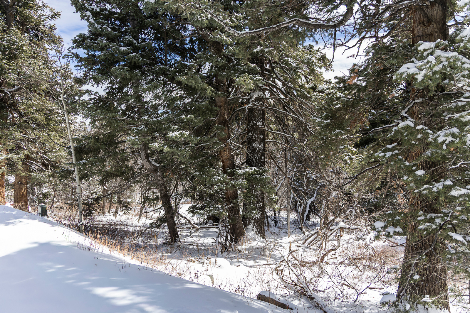 PINE MEADOW RANCH - Land