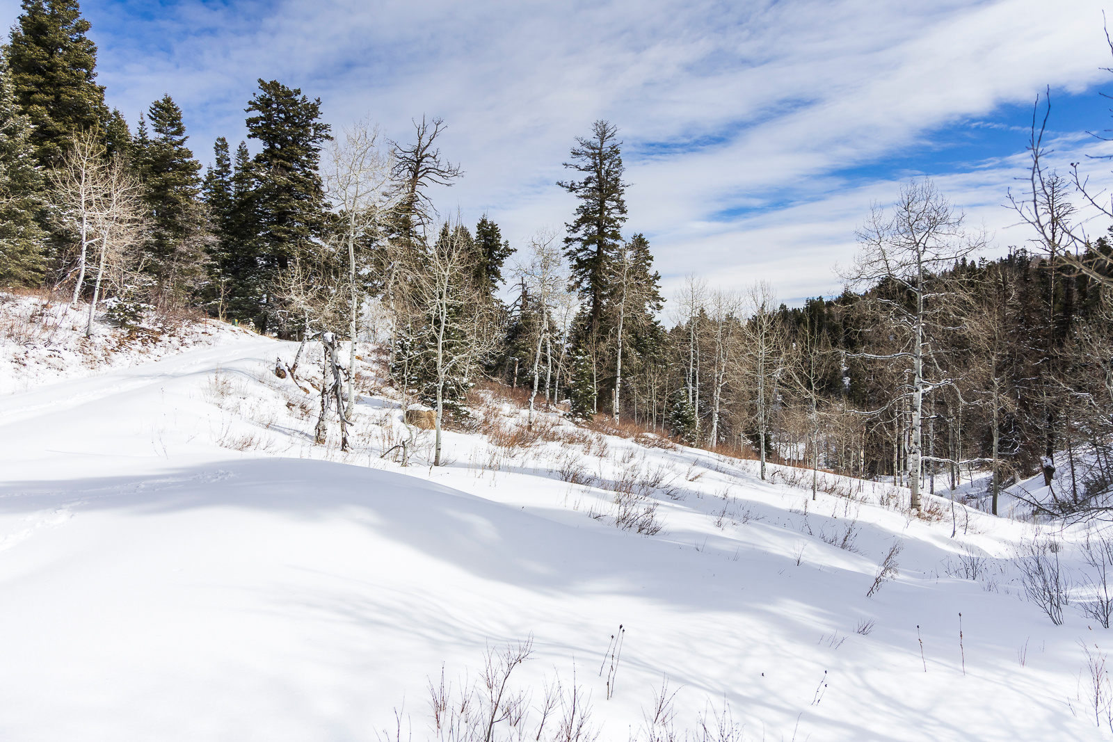 PINE MEADOW RANCH - Land