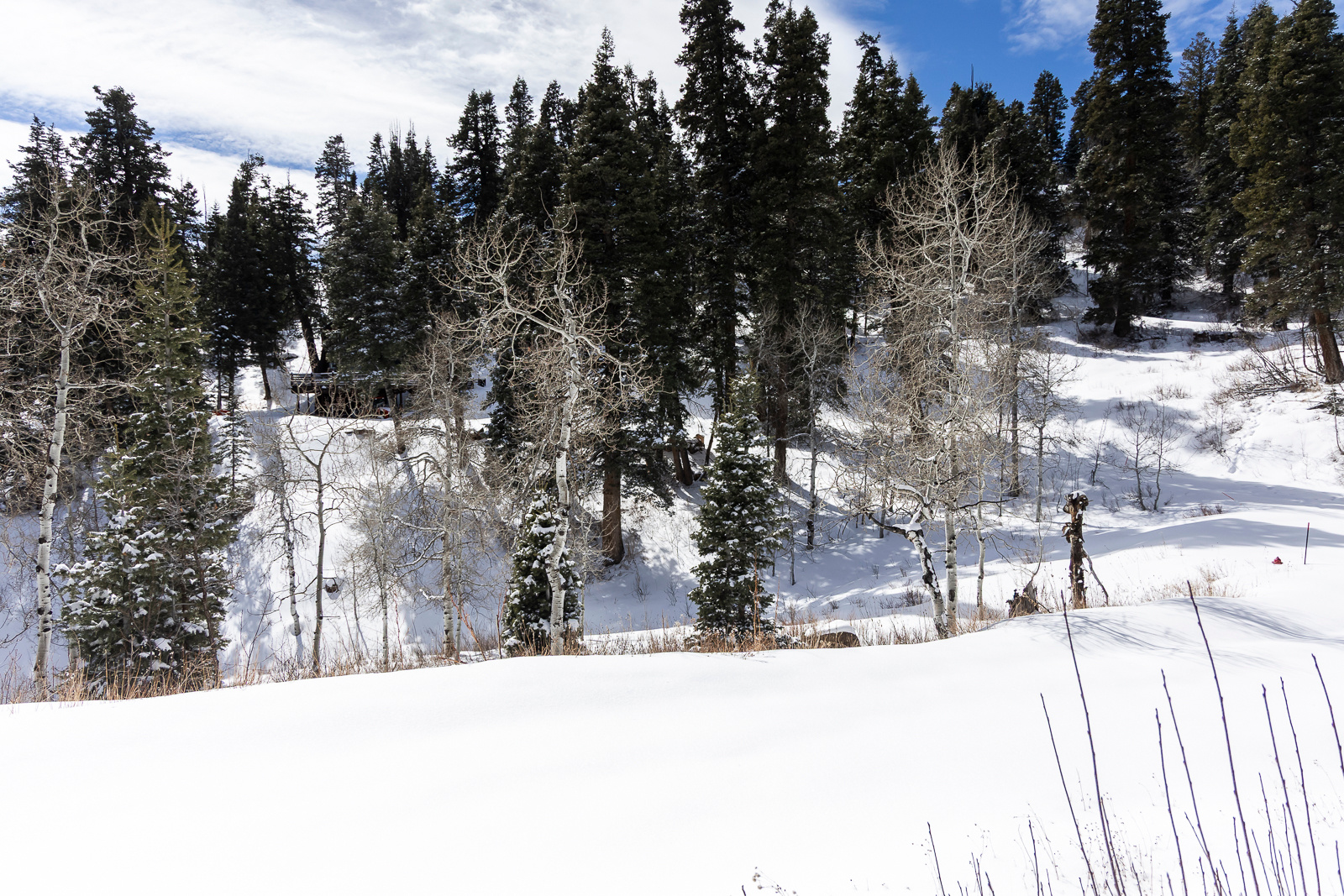 PINE MEADOW RANCH - Land
