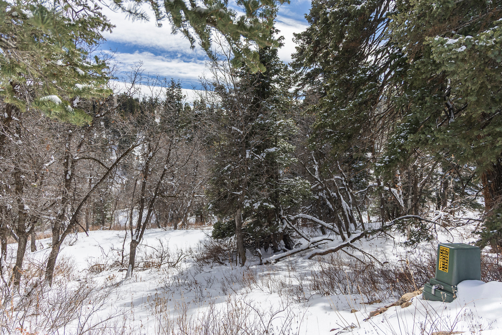 PINE MEADOW RANCH - Land