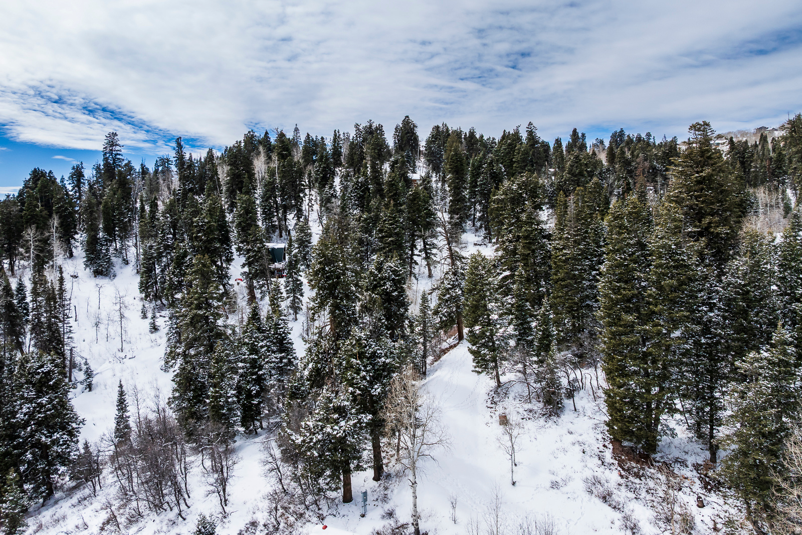 PINE MEADOW RANCH - Land