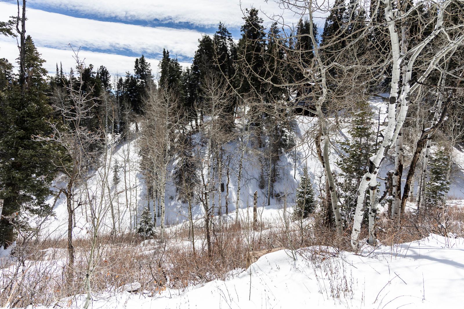 PINE MEADOW RANCH - Land