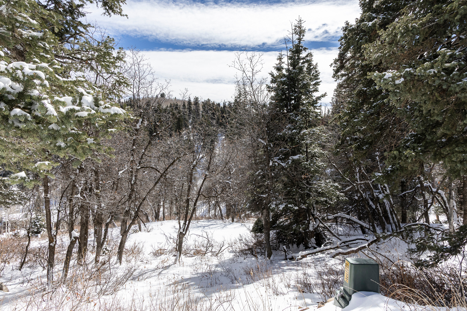 PINE MEADOW RANCH - Land