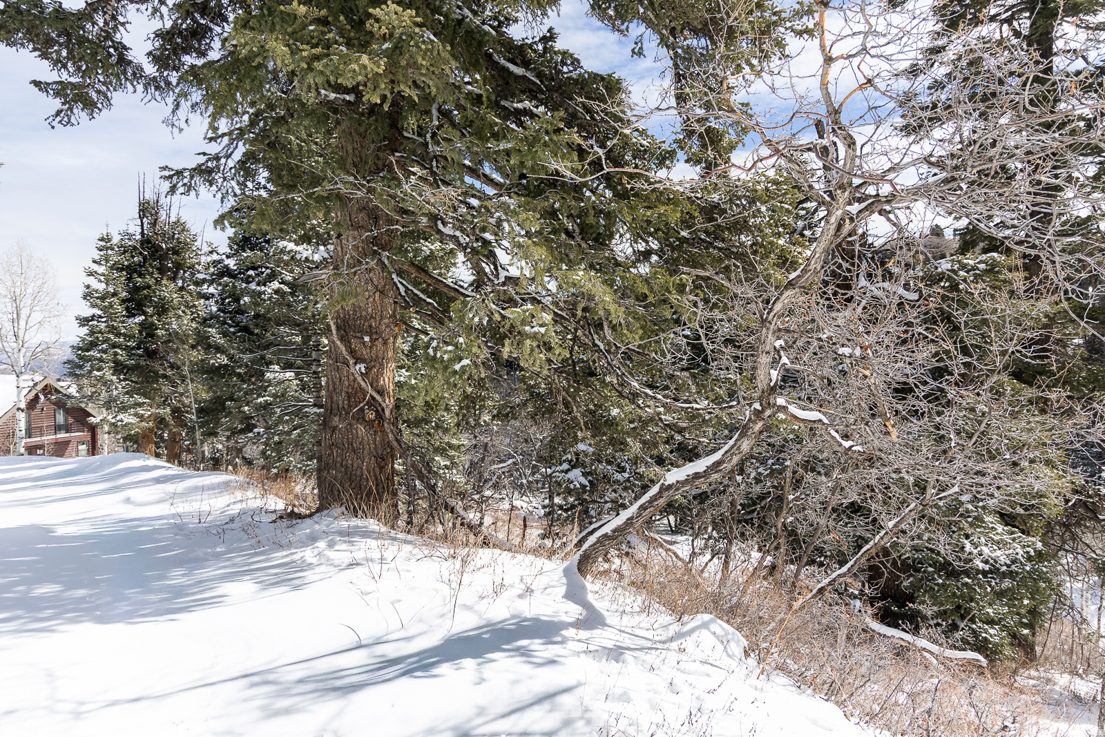 PINE MEADOW RANCH - Land
