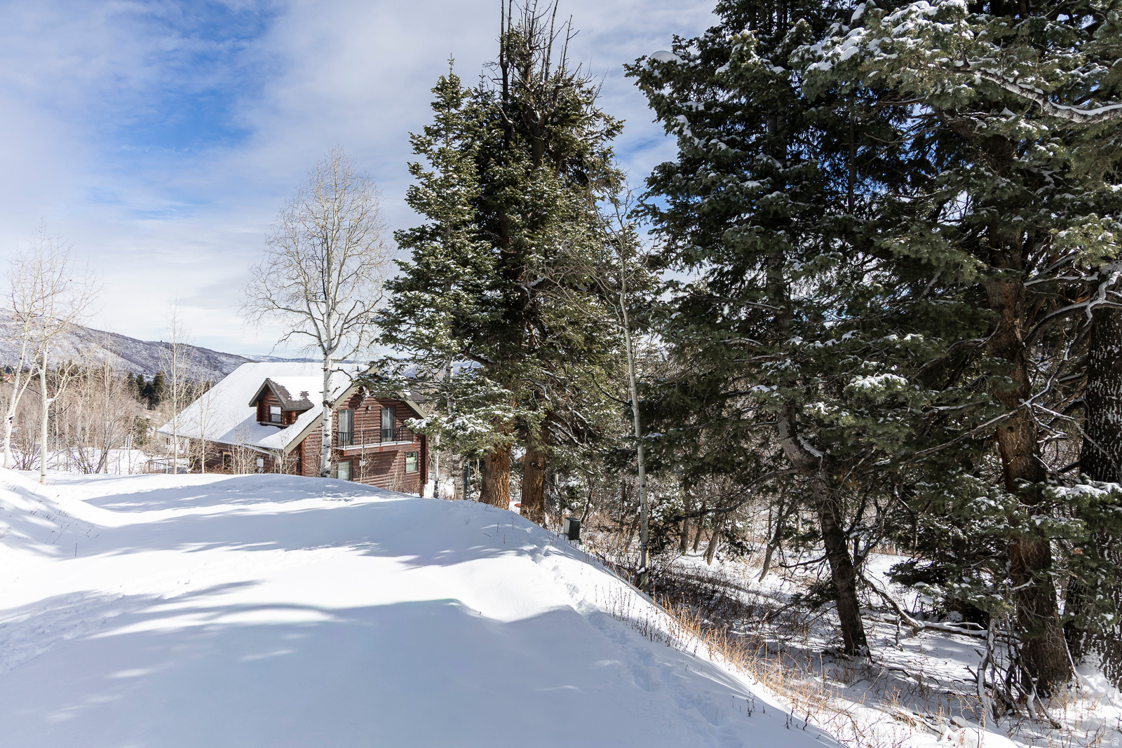 PINE MEADOW RANCH - Land