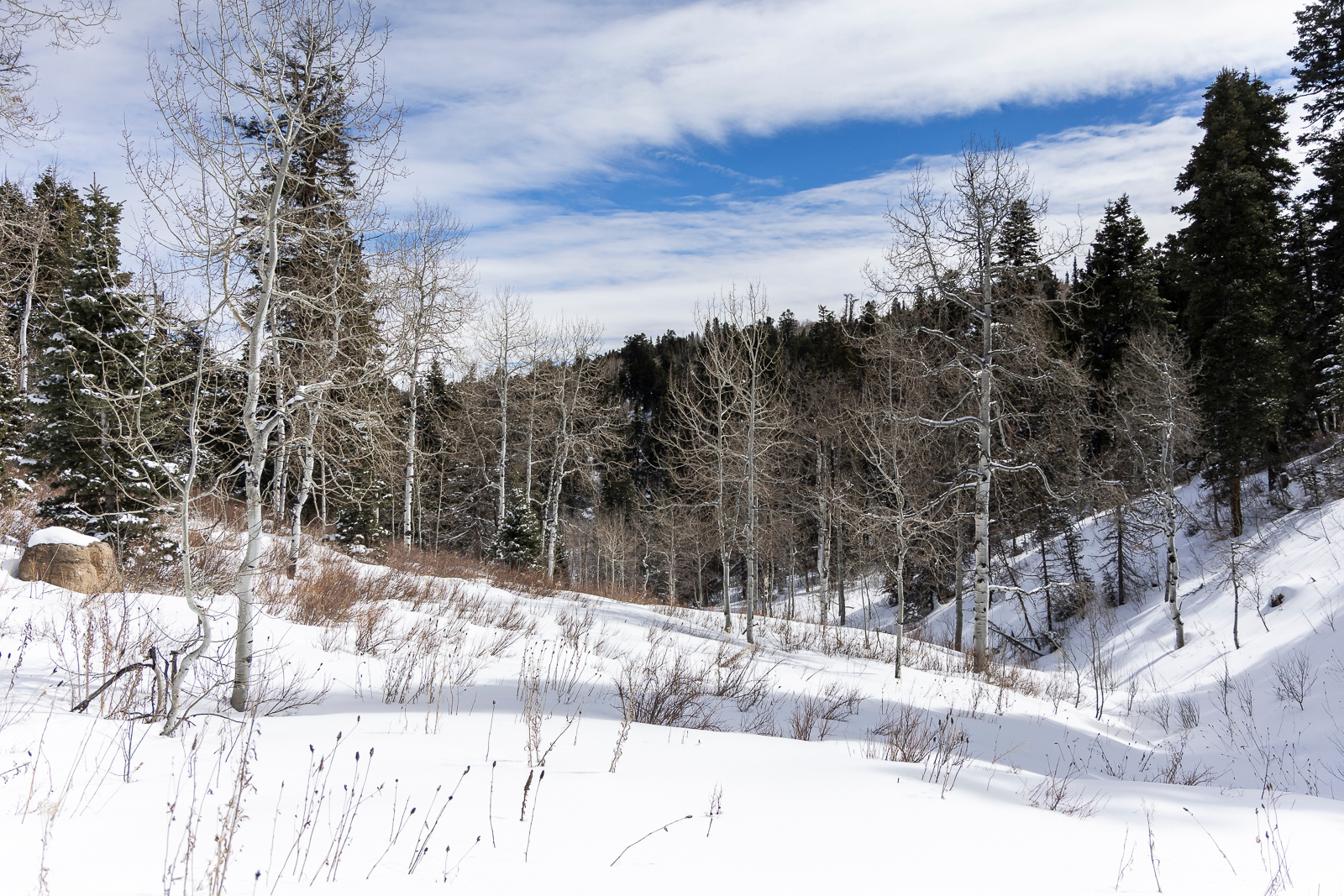 PINE MEADOW RANCH - Land