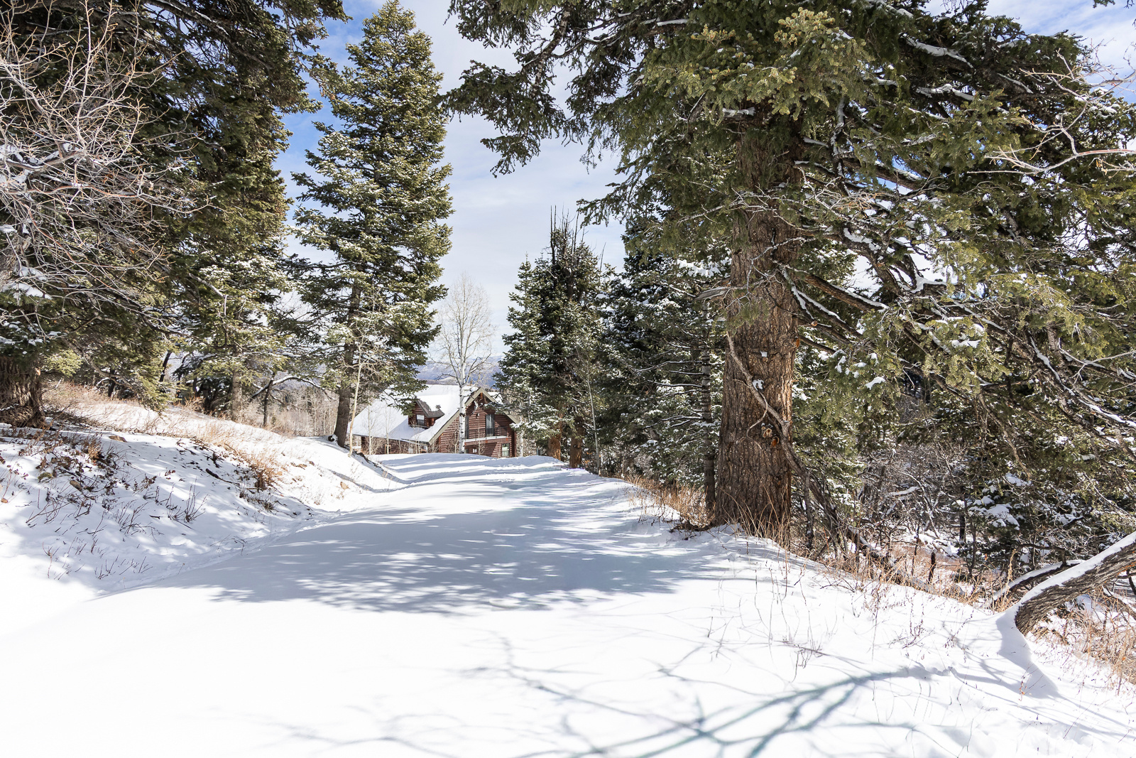 PINE MEADOW RANCH - Land
