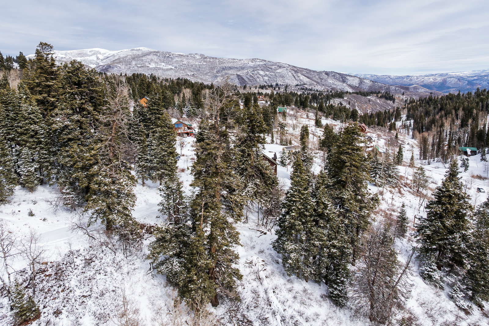 PINE MEADOW RANCH - Land