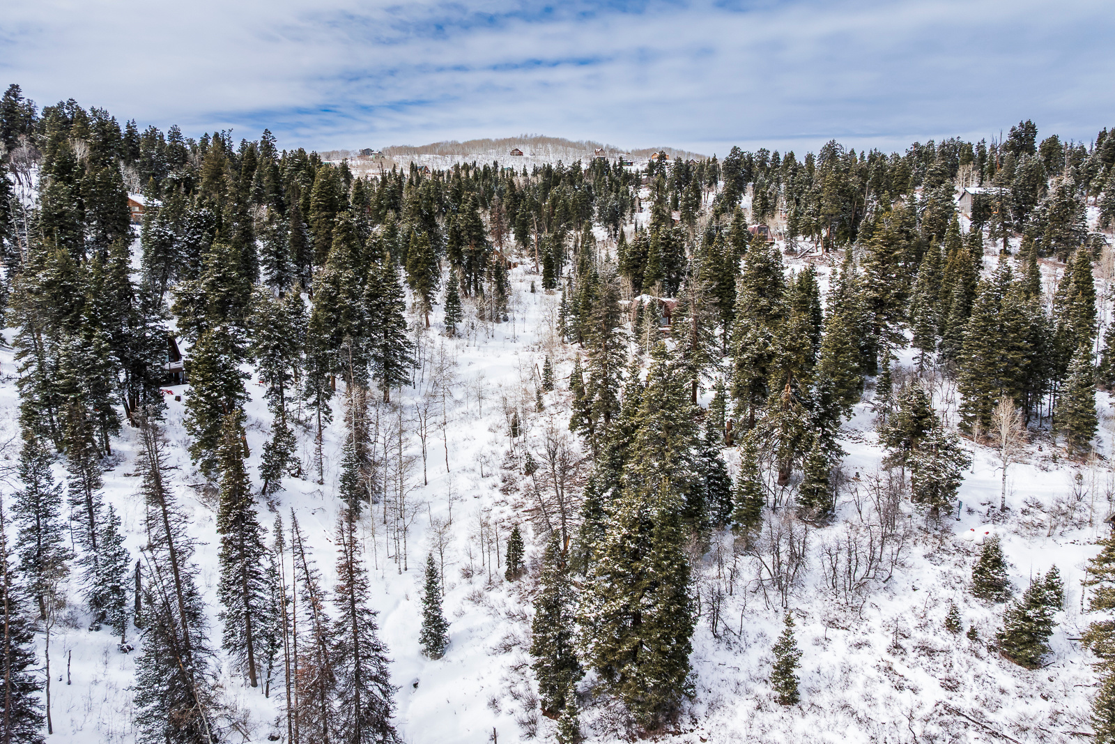 PINE MEADOW RANCH - Land
