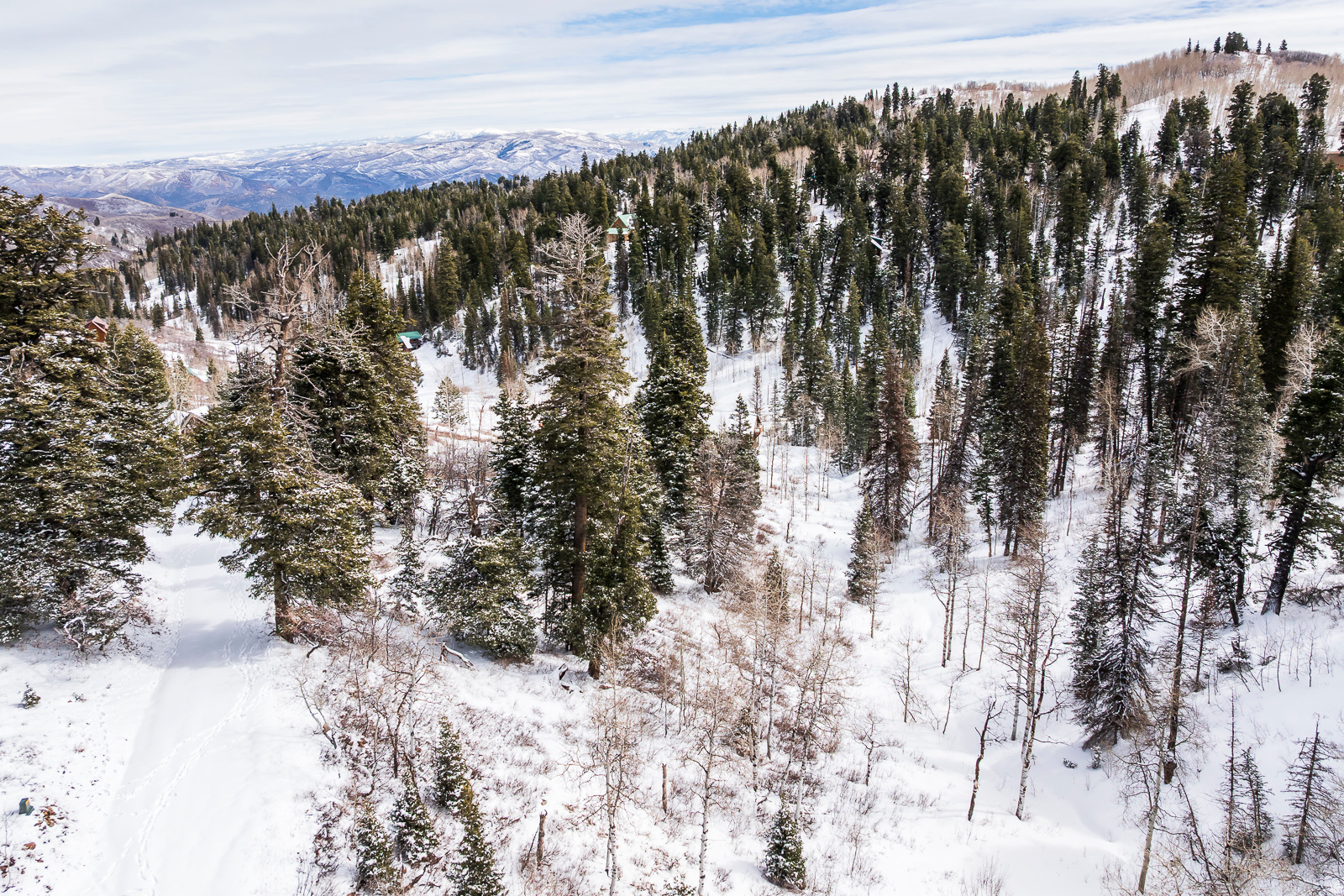 PINE MEADOW RANCH - Land