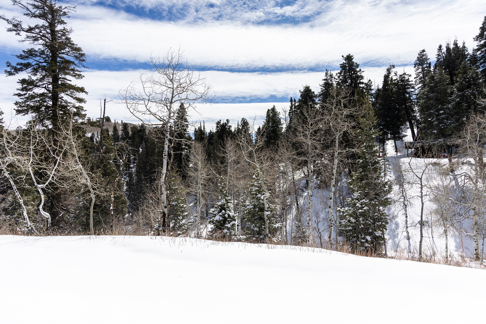 PINE MEADOW RANCH - Land