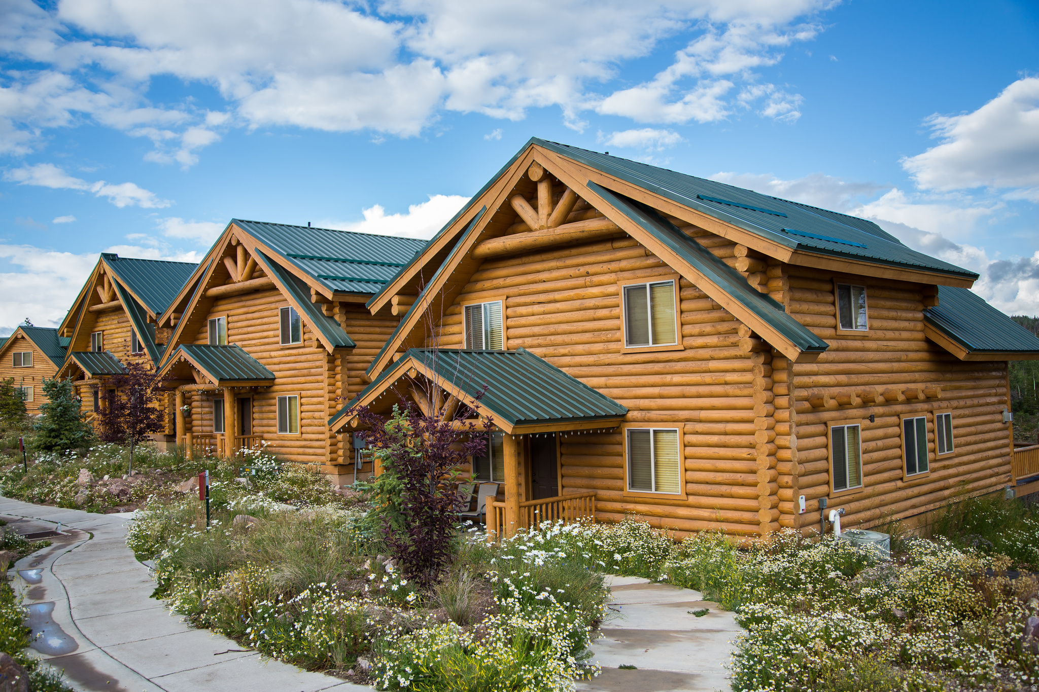 Incredible opportunity to own a mountain cabin that is less than 2 hours from the Wasatch Front, borders over 1 million-acres of national forest, overlooks the Bear River and can be used as a short-term rental when you are not using it!  Manage the STR yourself or hire Bear River Lodge to manage it for you or a combination of both.  This cabin has a great rental history with many repeat guests.