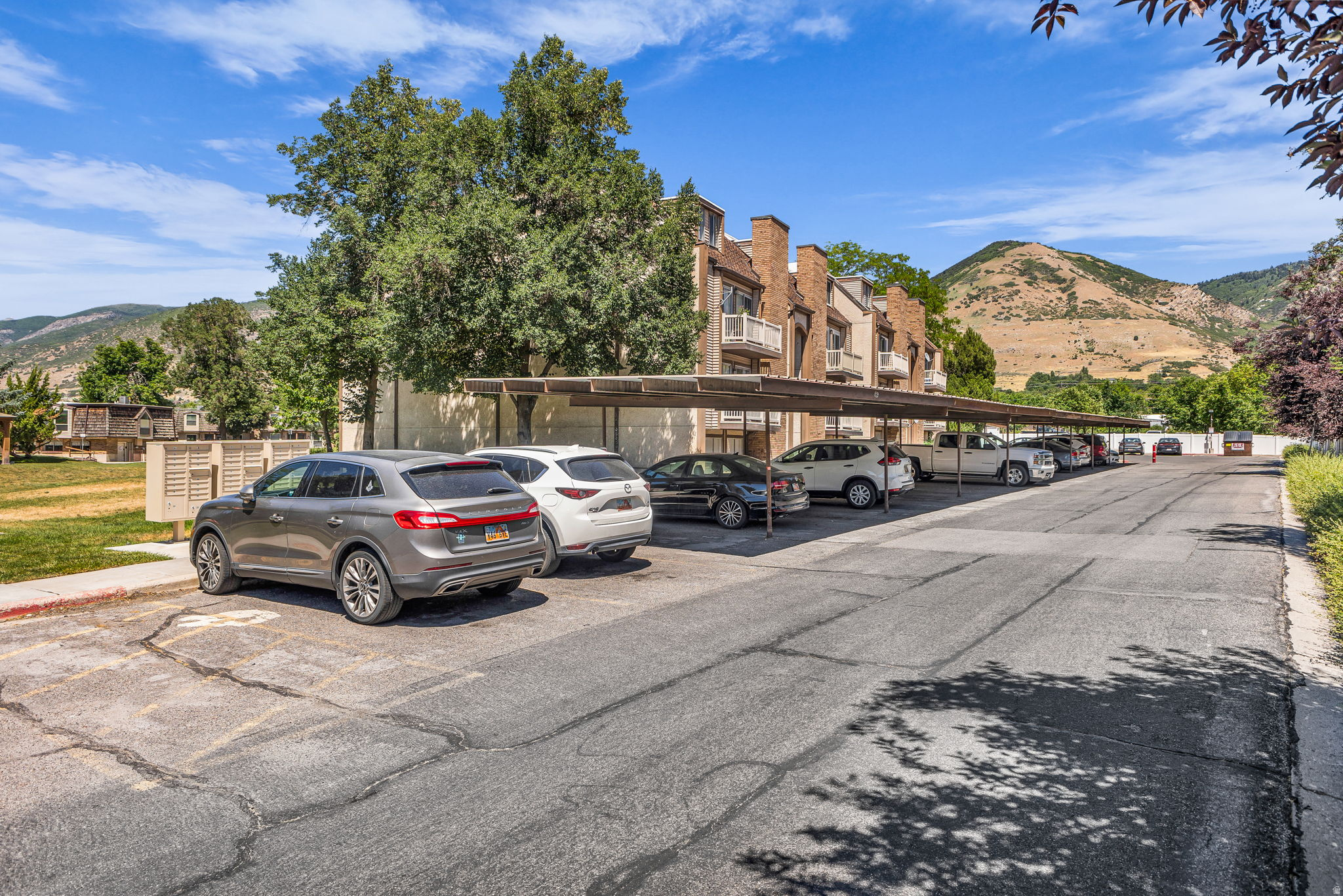 CEDAR SPRINGS - Residential