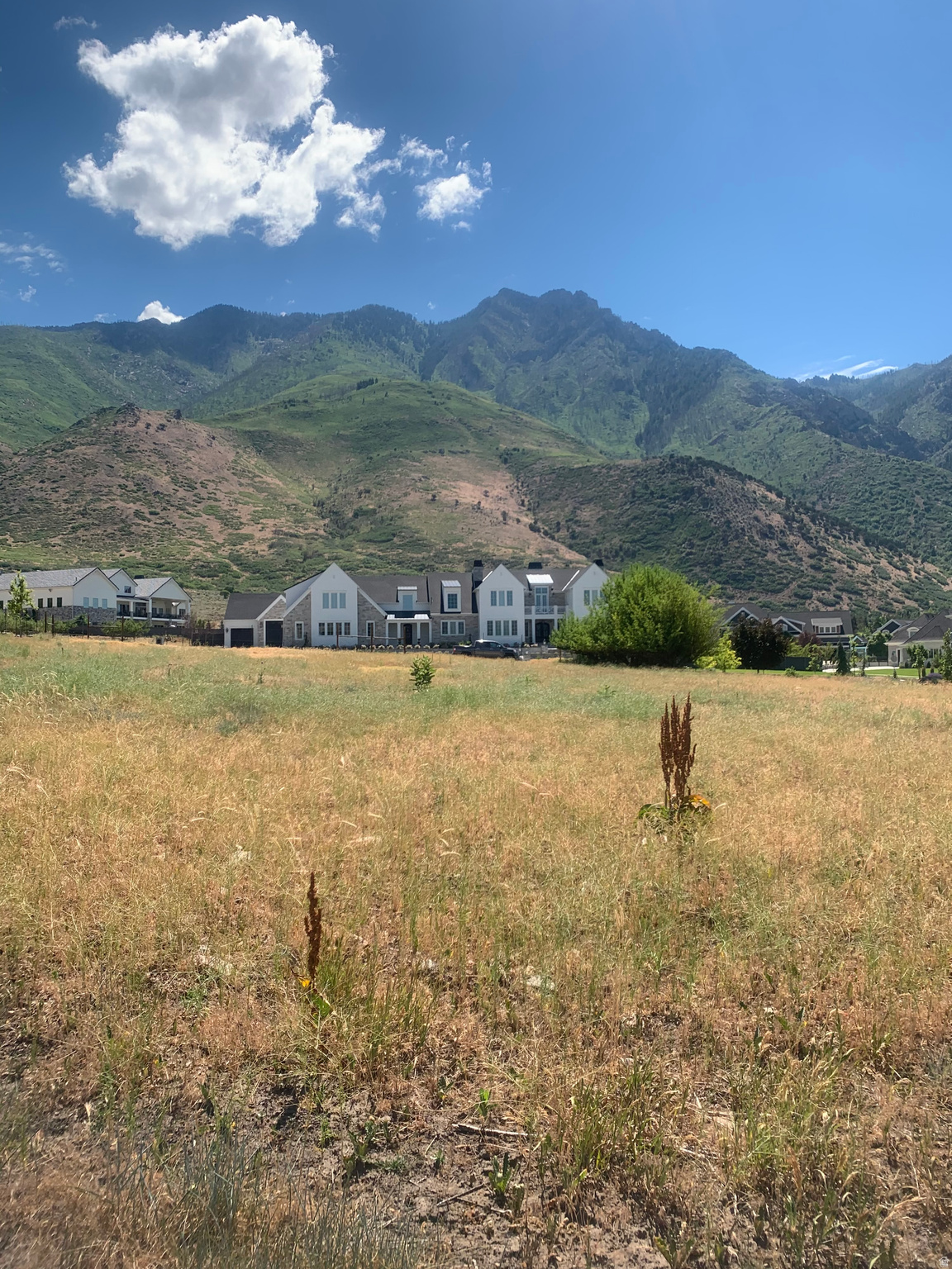 Come discover an amazing Alpine Lot. This is one you do not want to miss. You can find it nestled in a mature neighborhood full of beautiful mountain views. With so many wonderful opportunities, you should bring your imagination. Owner/Agent.  Square footage of land figures are provided as a courtesy estimate only and were obtained from County Records.  Buyer is advised to obtain an independent measurement.