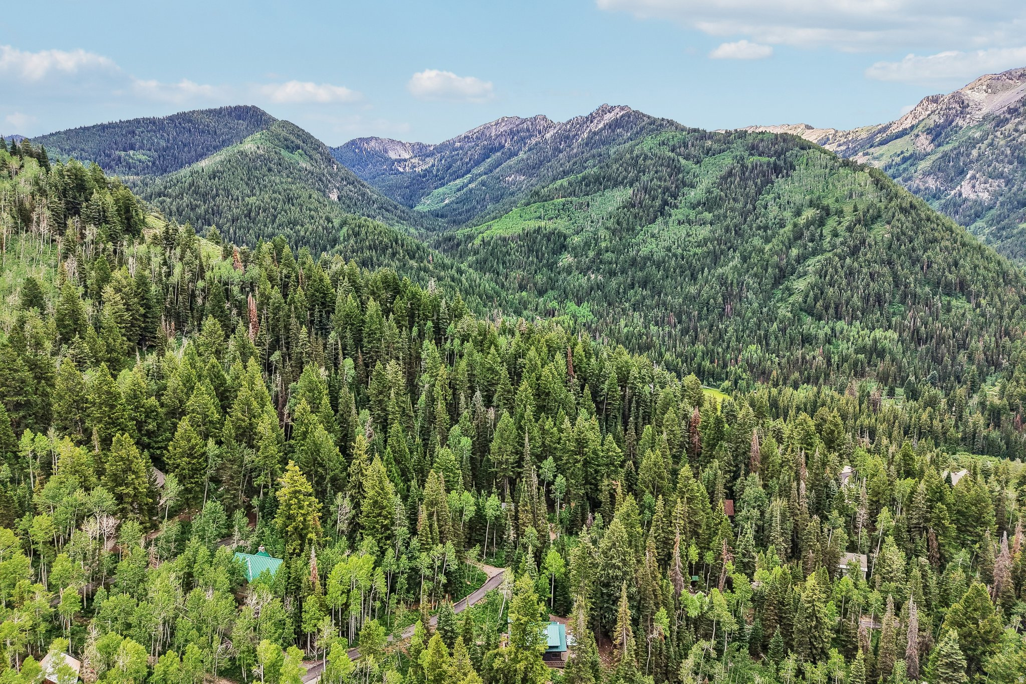 BIG COTTONWOOD CANYO - Residential