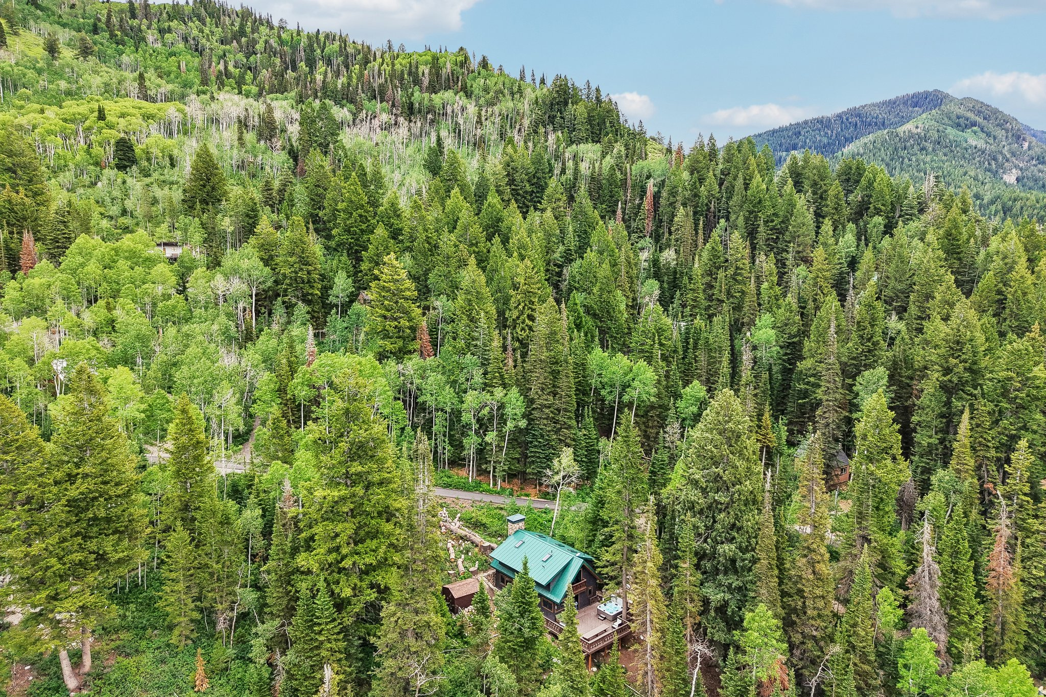 BIG COTTONWOOD CANYO - Residential