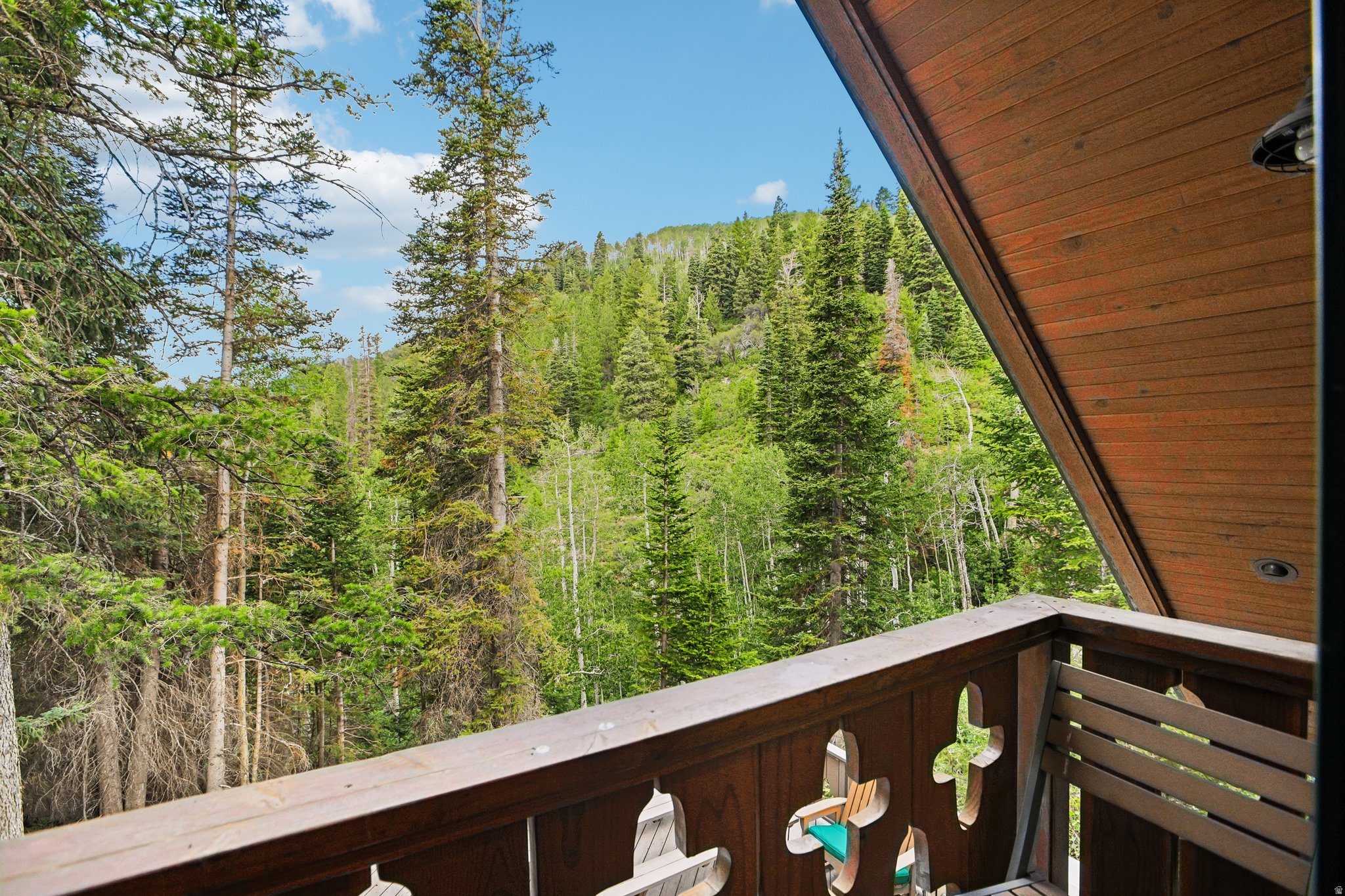 BIG COTTONWOOD CANYO - Residential