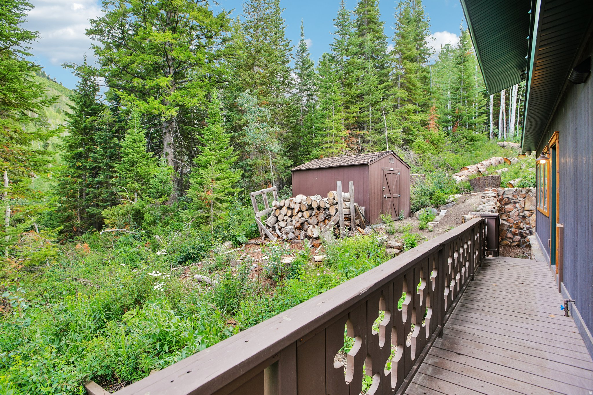 BIG COTTONWOOD CANYO - Residential