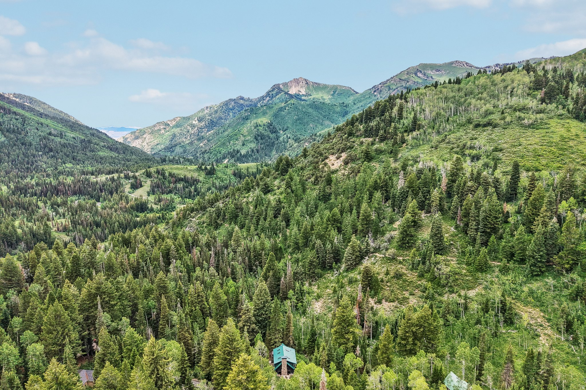 BIG COTTONWOOD CANYO - Residential