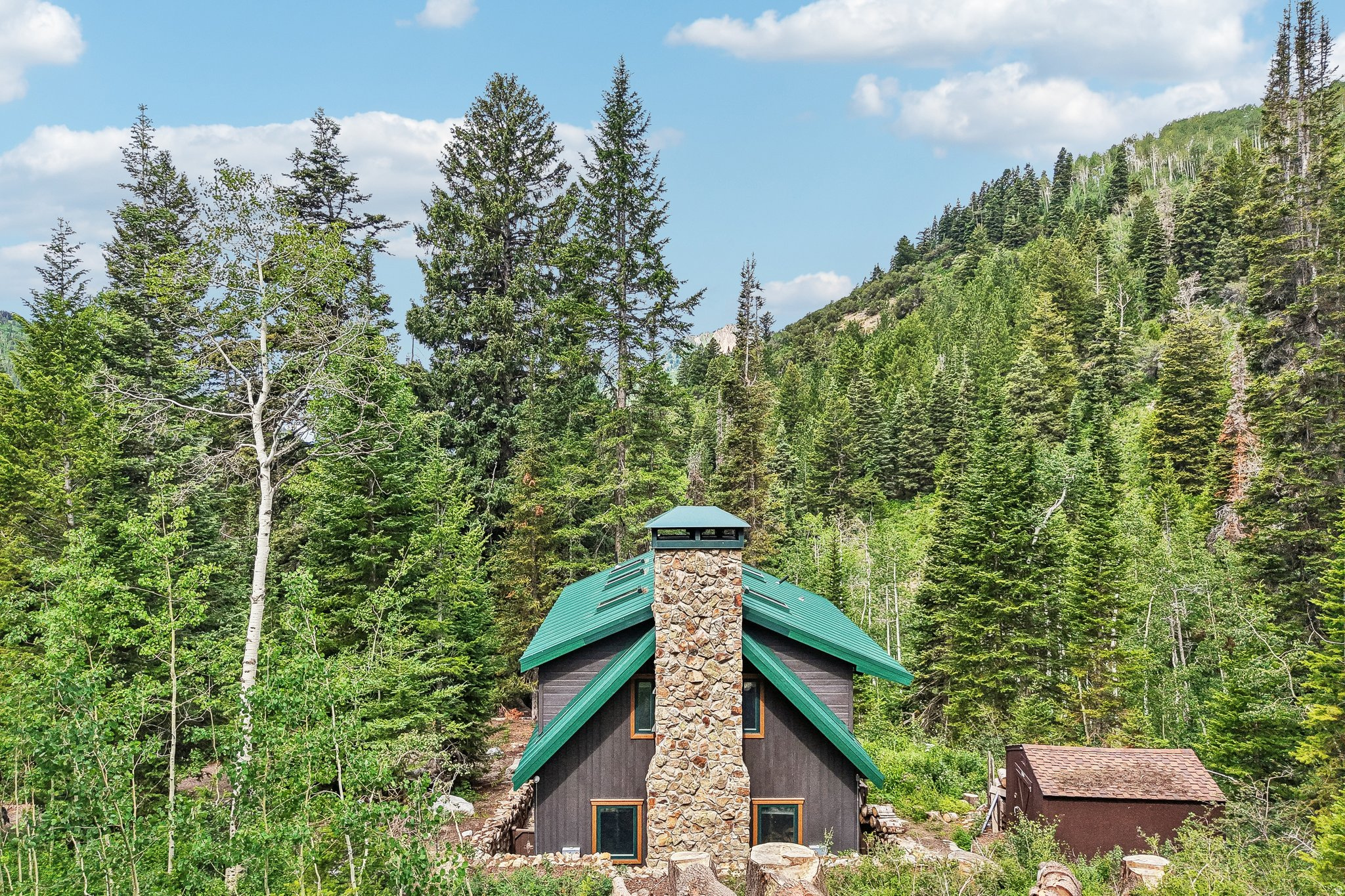 BIG COTTONWOOD CANYO - Residential