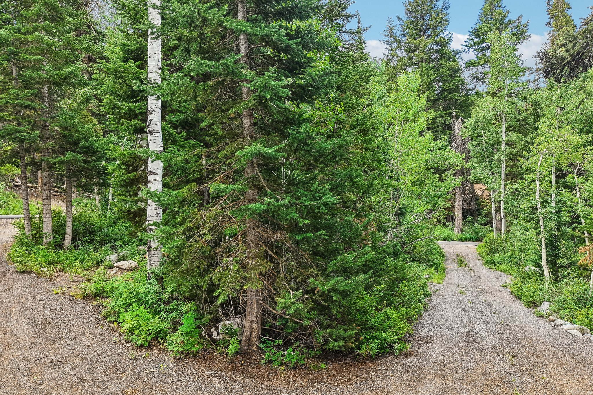 BIG COTTONWOOD CANYO - Residential
