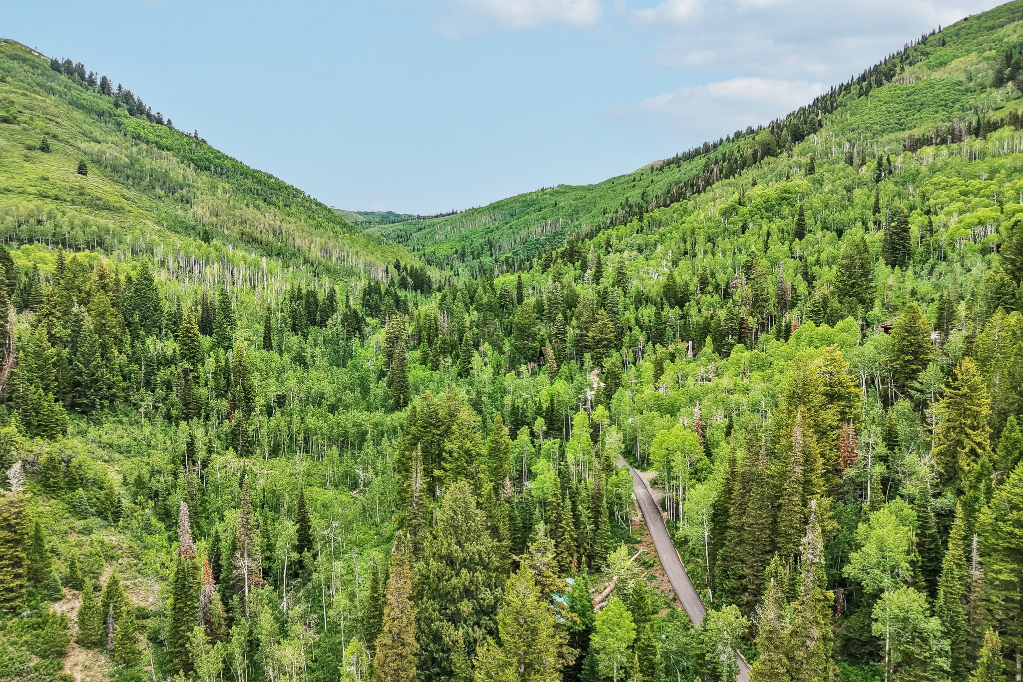 BIG COTTONWOOD CANYO - Residential