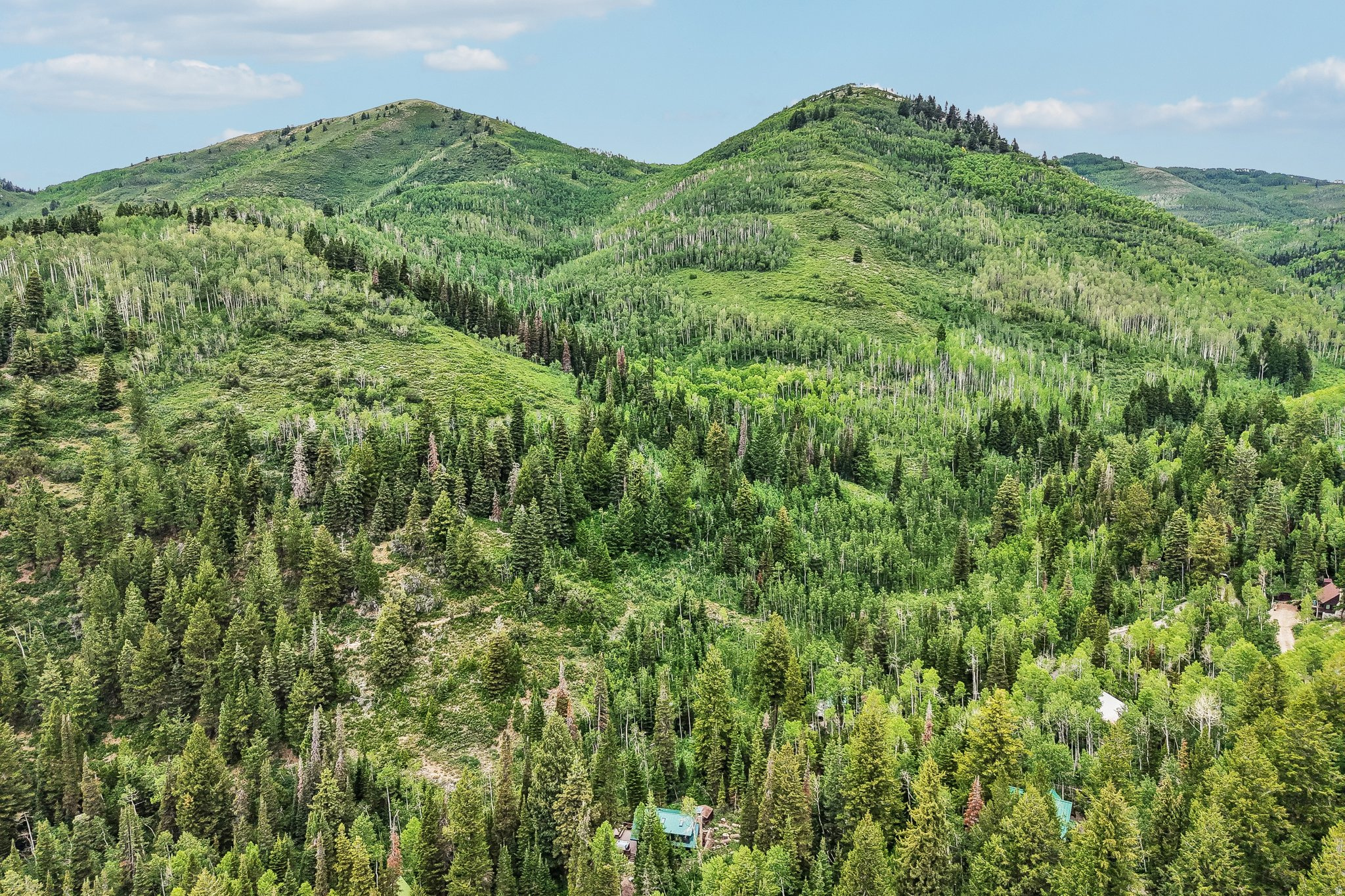 BIG COTTONWOOD CANYO - Residential