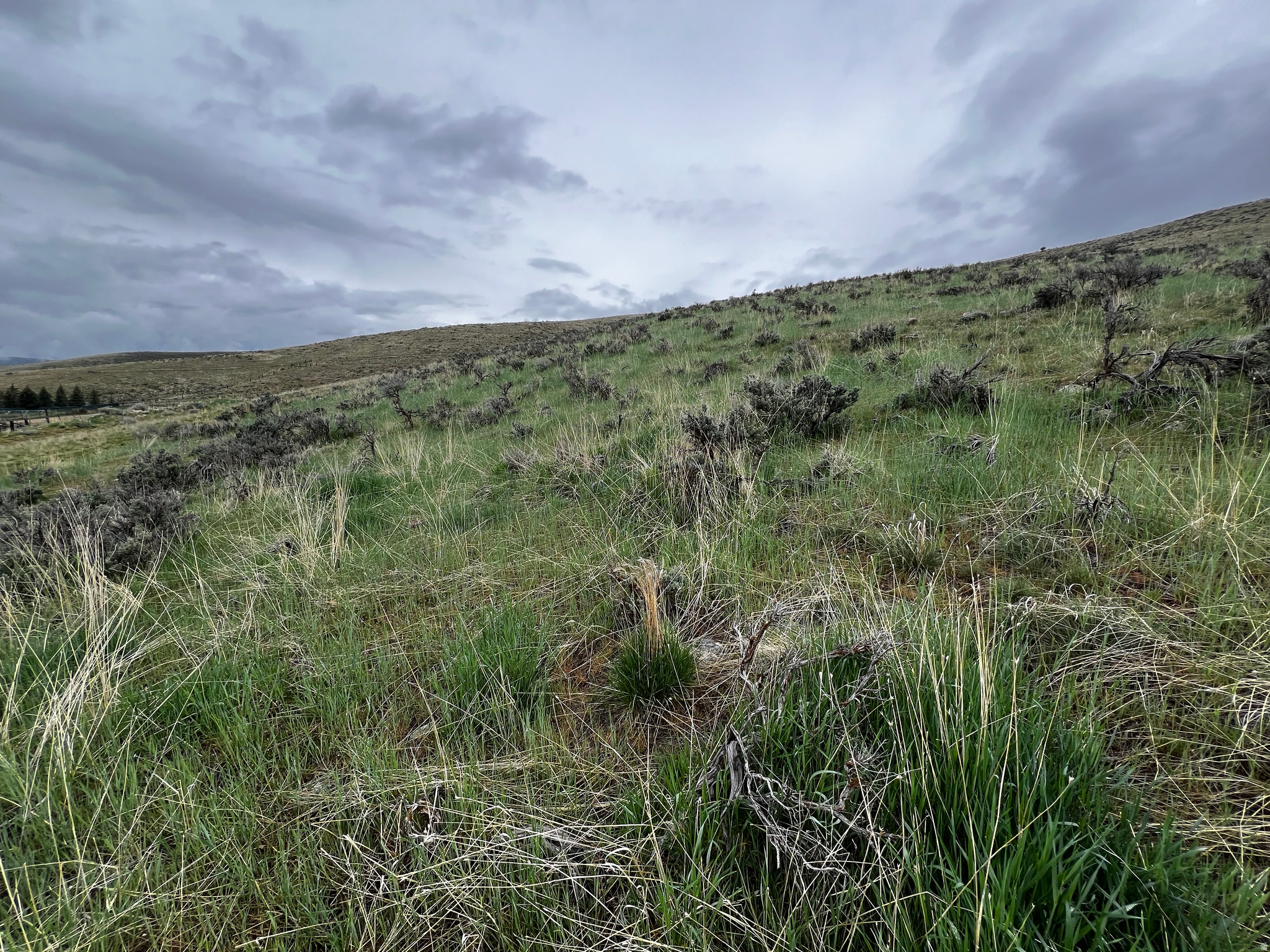 SELLER FINANCING AVAILABLE! This beautiful two-acre lot in the Indian Hills Subdivision has amazing views of the mountains and valley .If you're looking for a small-town feel with recreational opportunities, this is it! Quick access to Uinta National Forest, close to world-class ski resorts such as Sundance, and Deer Creek Reservoir is close by for water sports and so much more! Located in a cul-de-sac, this lot is waiting for Someone to build their dream home! Percolation test passed, 1/2 water share included. Please contact the city for all permit, approvals, and water questions. Buyer to verify all details.