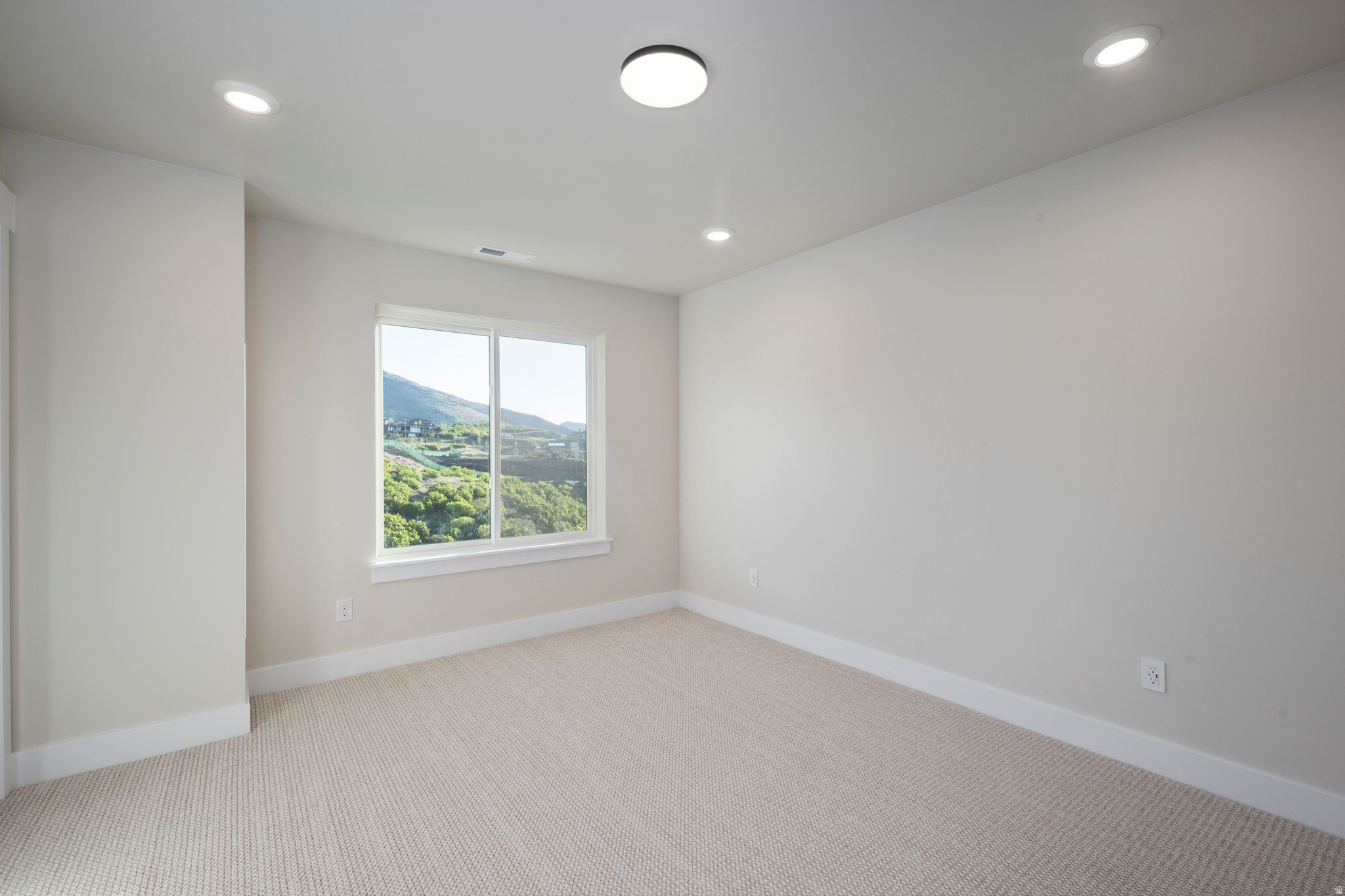 SAGE HEN HOLLOW SUBDIVISION - Residential
