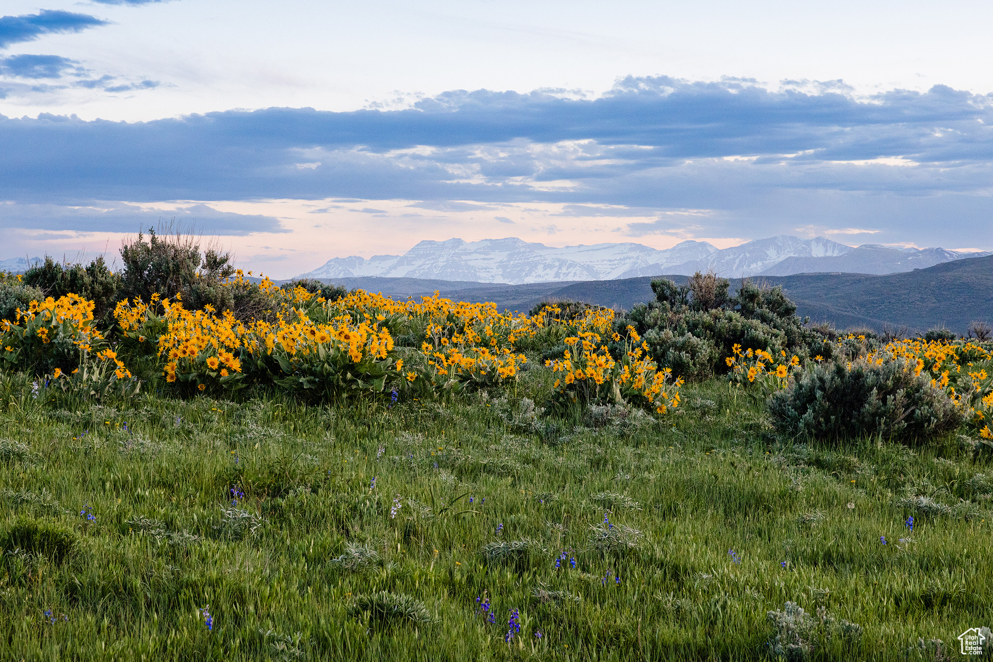 HOYT PEAK RANCH - Land