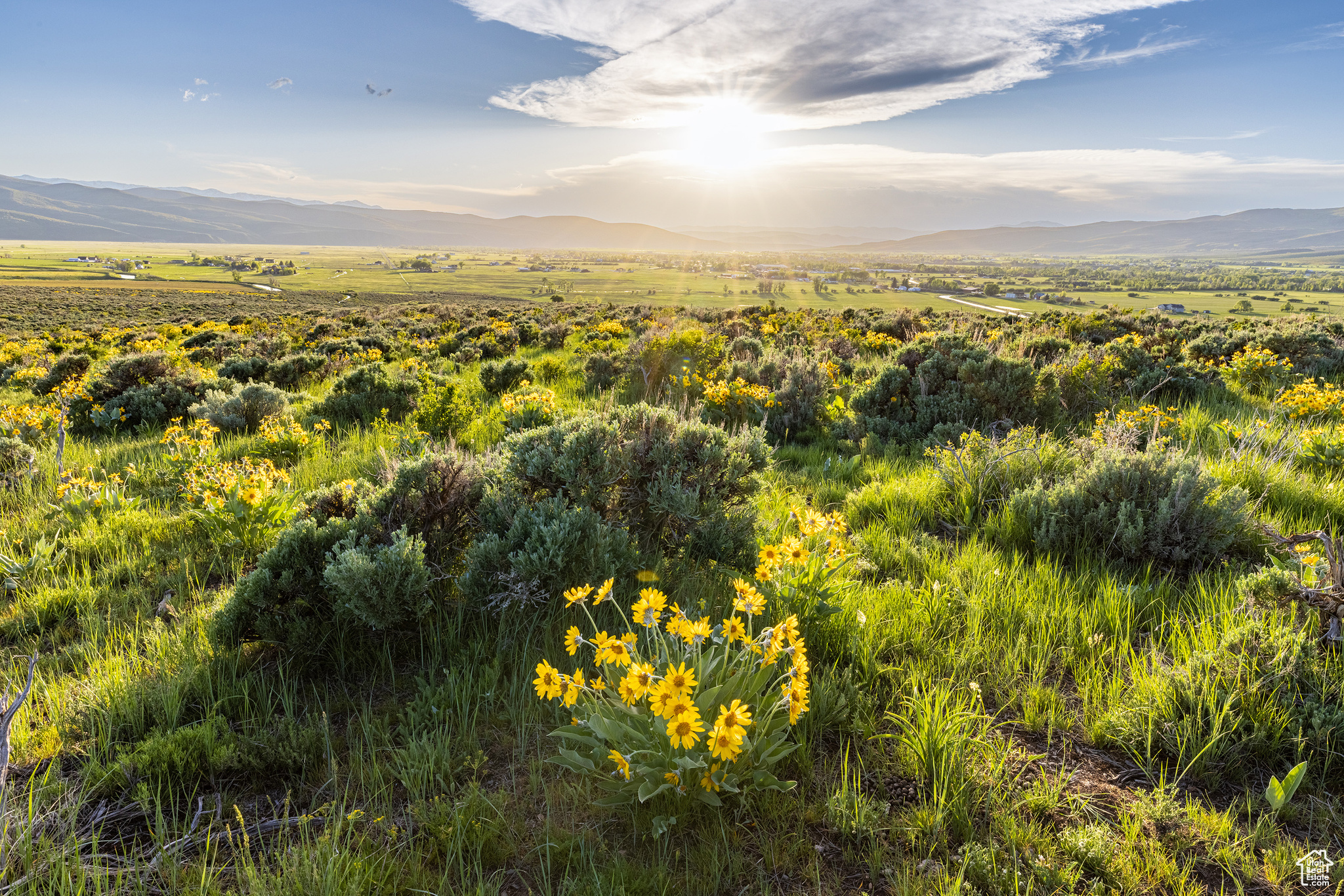 HOYT PEAK RANCH - Land