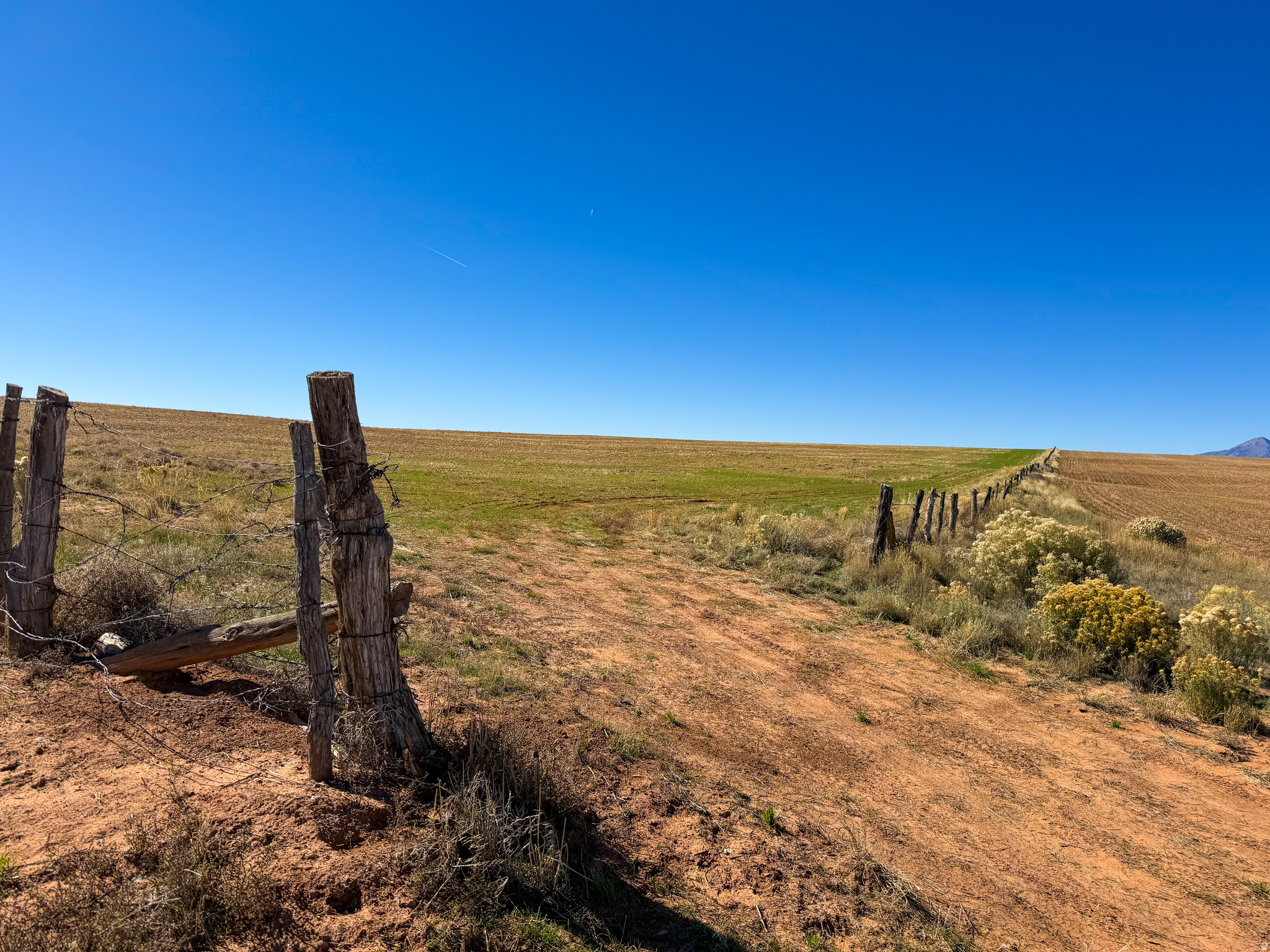 Own a beautiful 224.34-acre piece of the quiet Eastland community, perfectly located between monticello and dove creek. This expansive property offers the ideal mix of tillable ground - bringing in crop share income from a wheat/safflower rotation. This acreage is a hunter's dream due to its diverse topography: the south side joins BLM land, and a rugged canyon/draw nearby provides natural cover and sanctuary for abundant wildlife. An additional 25-30 acres in the northwest could be cleared for further farming or developed into desirable grassland. Power is about half a mile to the north, connection fees apply. Financially, the property is in greenbelt tax designation, ensuring property taxes remain low. Whether you seek a significant land investment, a thriving farm, or a vast private hunting sanctuary, this Eastland parcel offers truly exceptional value and opportunity. *Note on Location: Please note that the address of 100 S Pearson Cutoff Rd is for mapping and syndication purposes only. This property has not yet been assigned an official address. This estimated location is provided solely to assist buyers in identifying the general area.
