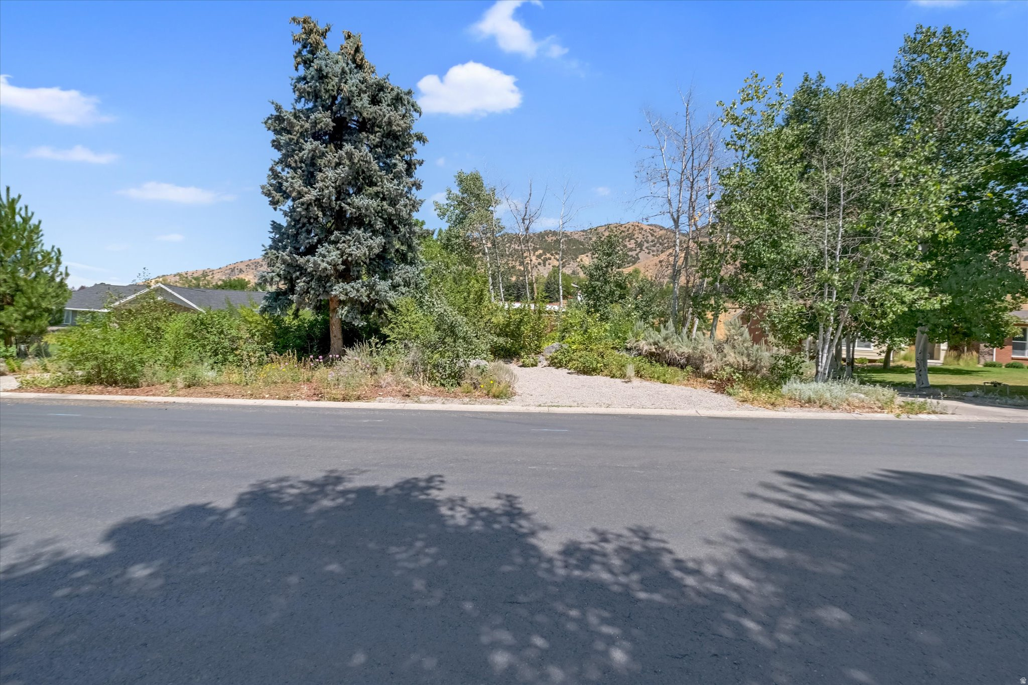 EDGEWOOD HALL ESTATES - Residential