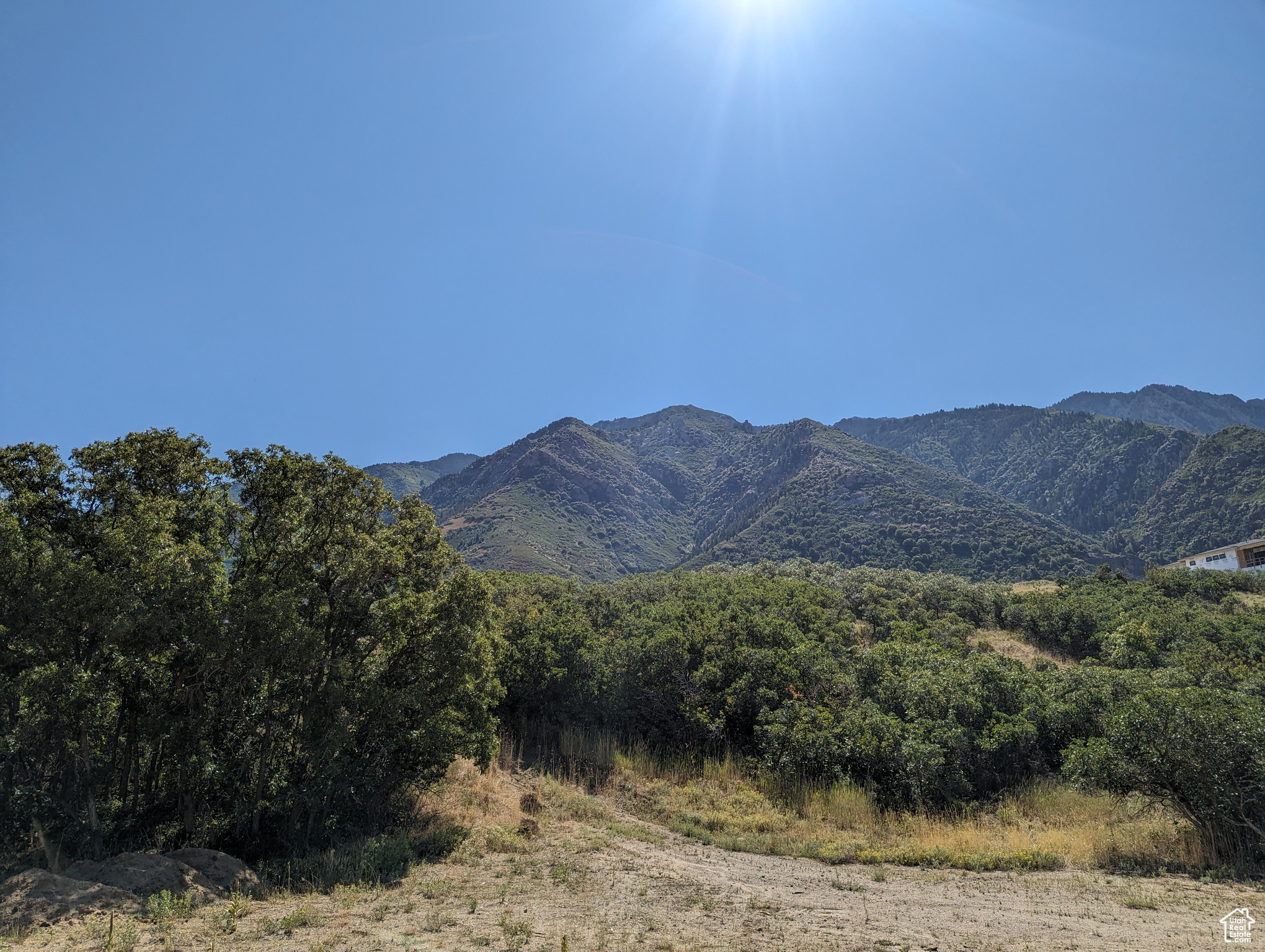 PEPPERWOOD - Land