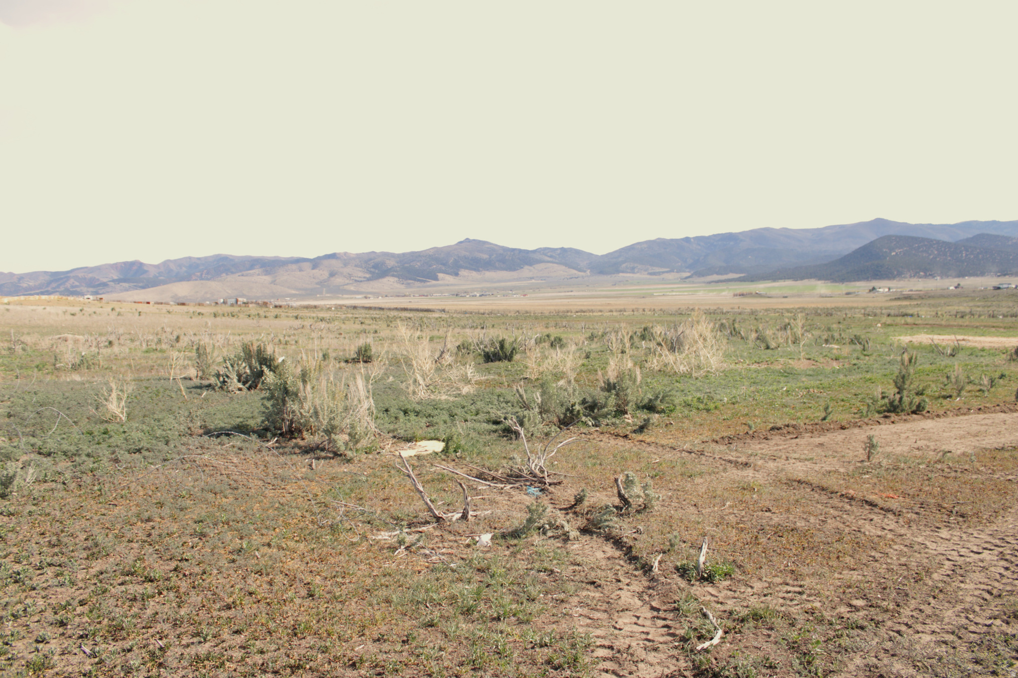 ELK MEADOWS - Land