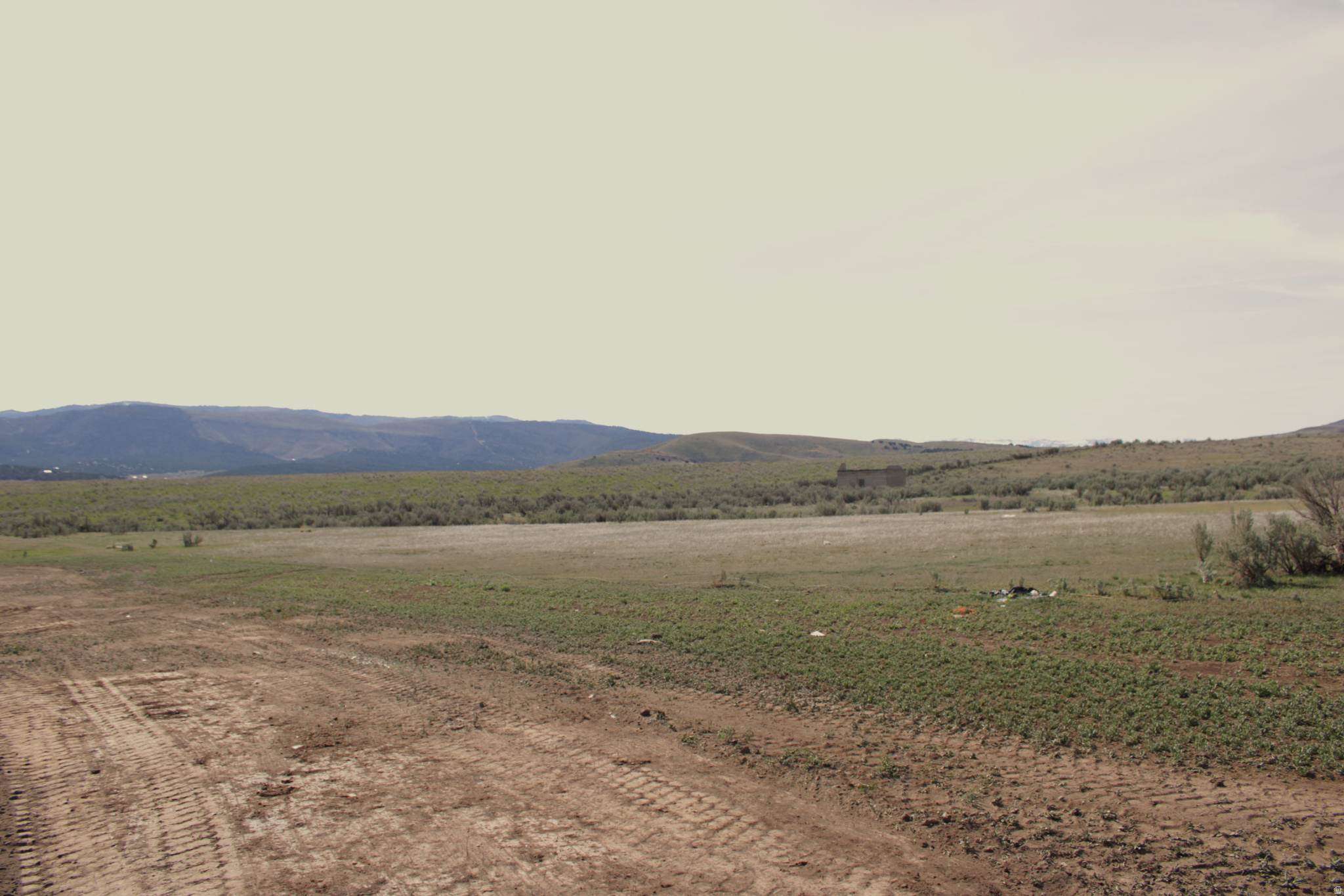 ELK MEADOWS - Land