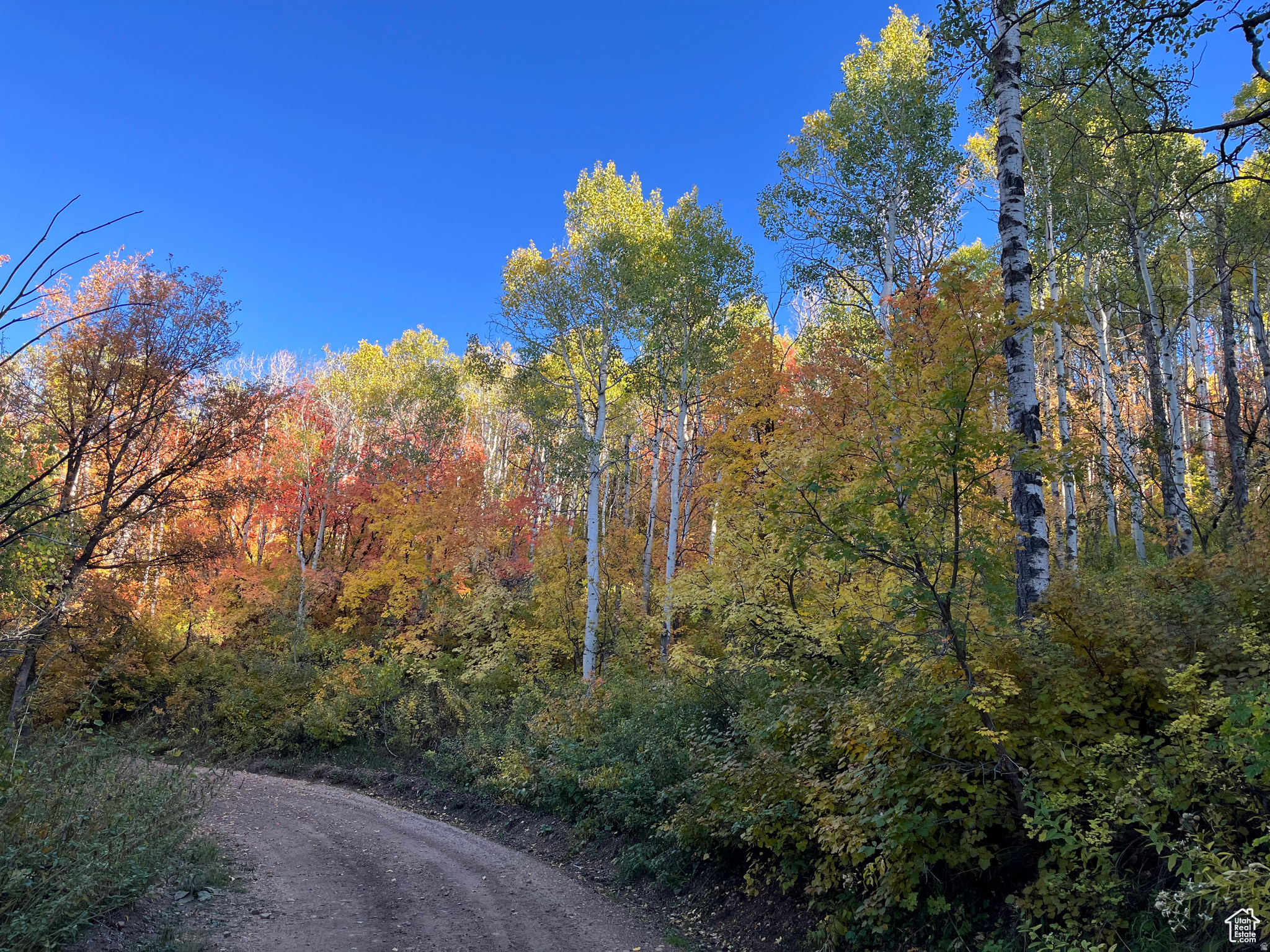ECHO CREEK RANCHES - Residential