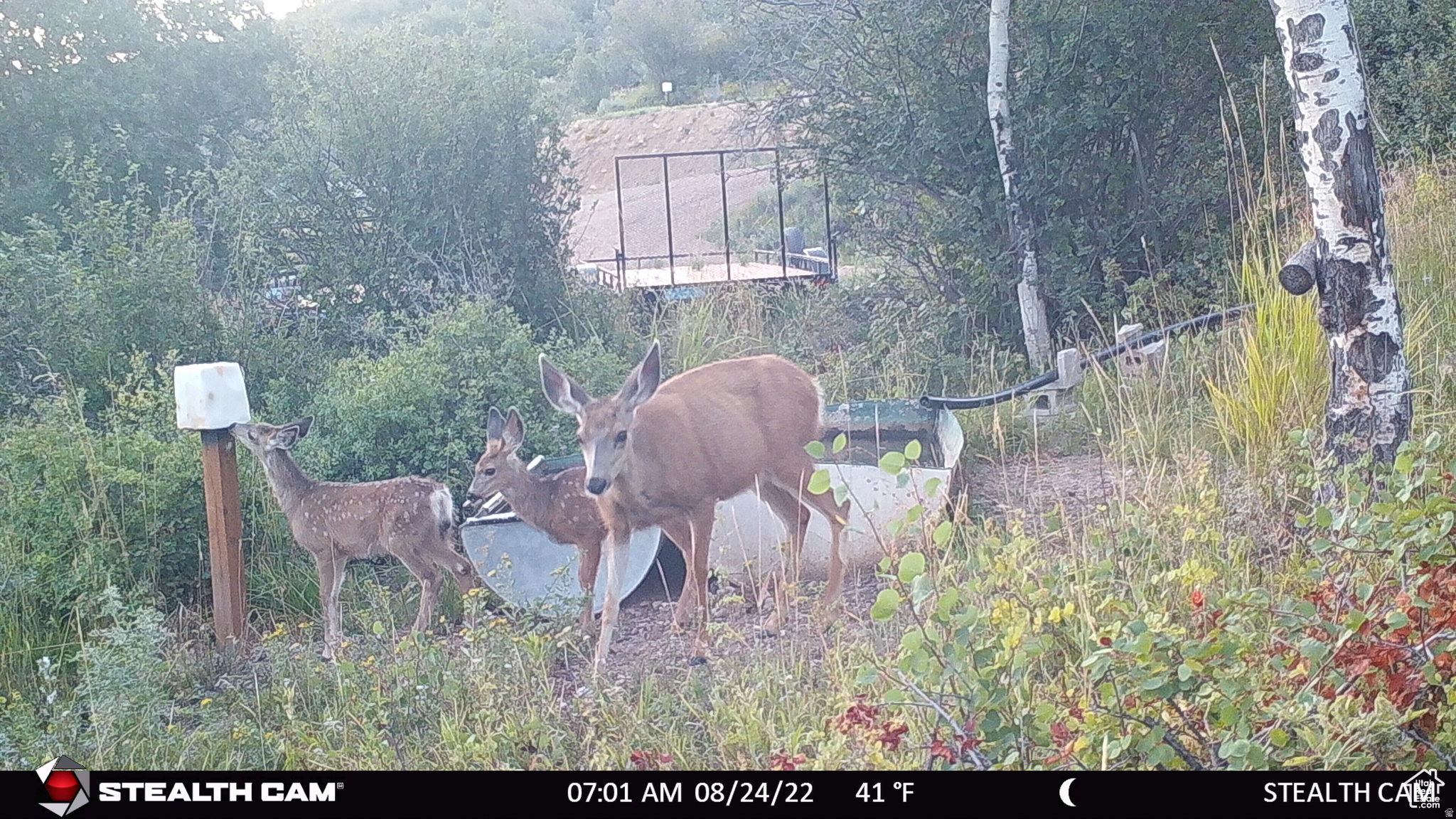 ECHO CREEK RANCHES - Residential