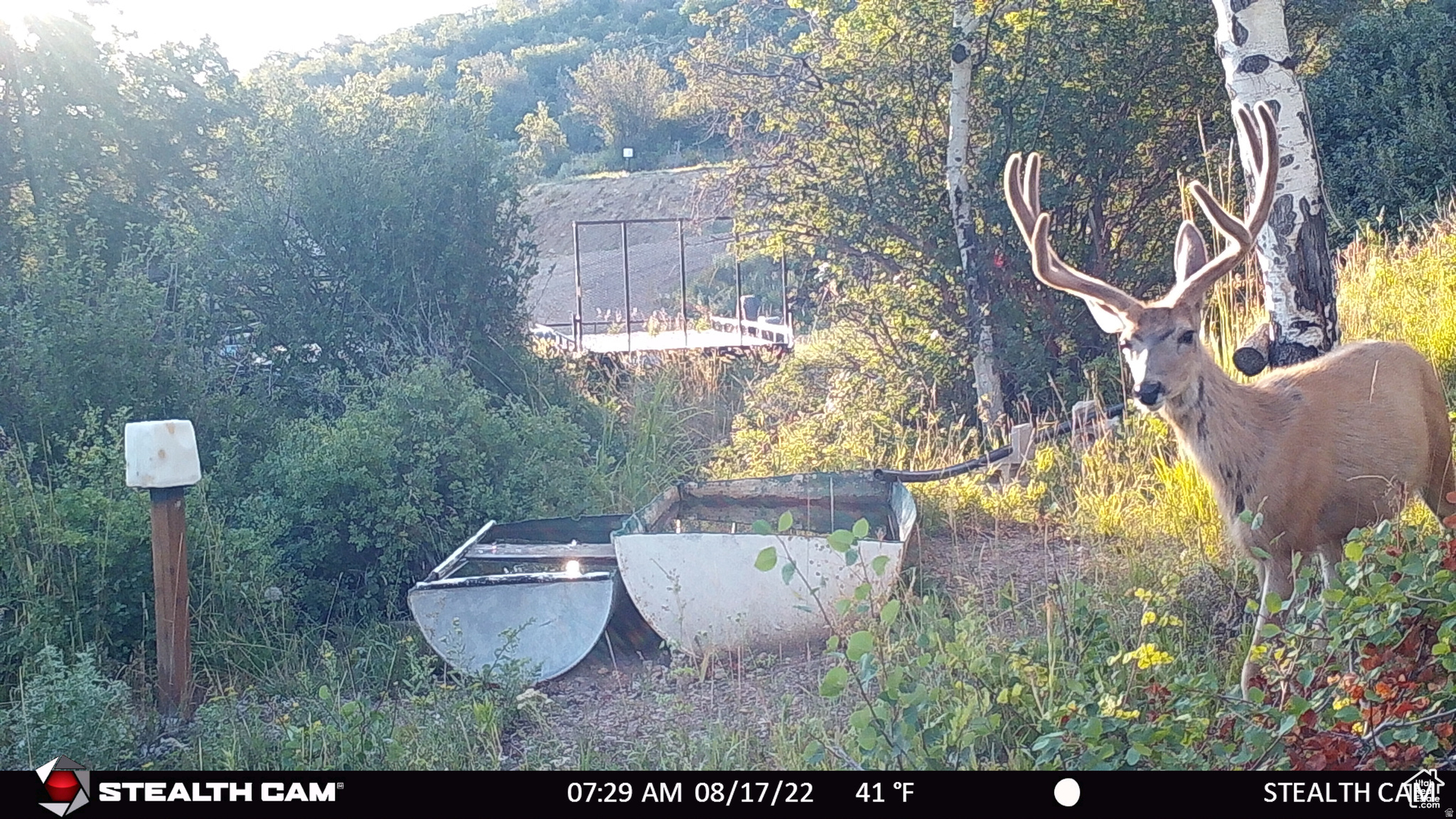 ECHO CREEK RANCHES - Residential