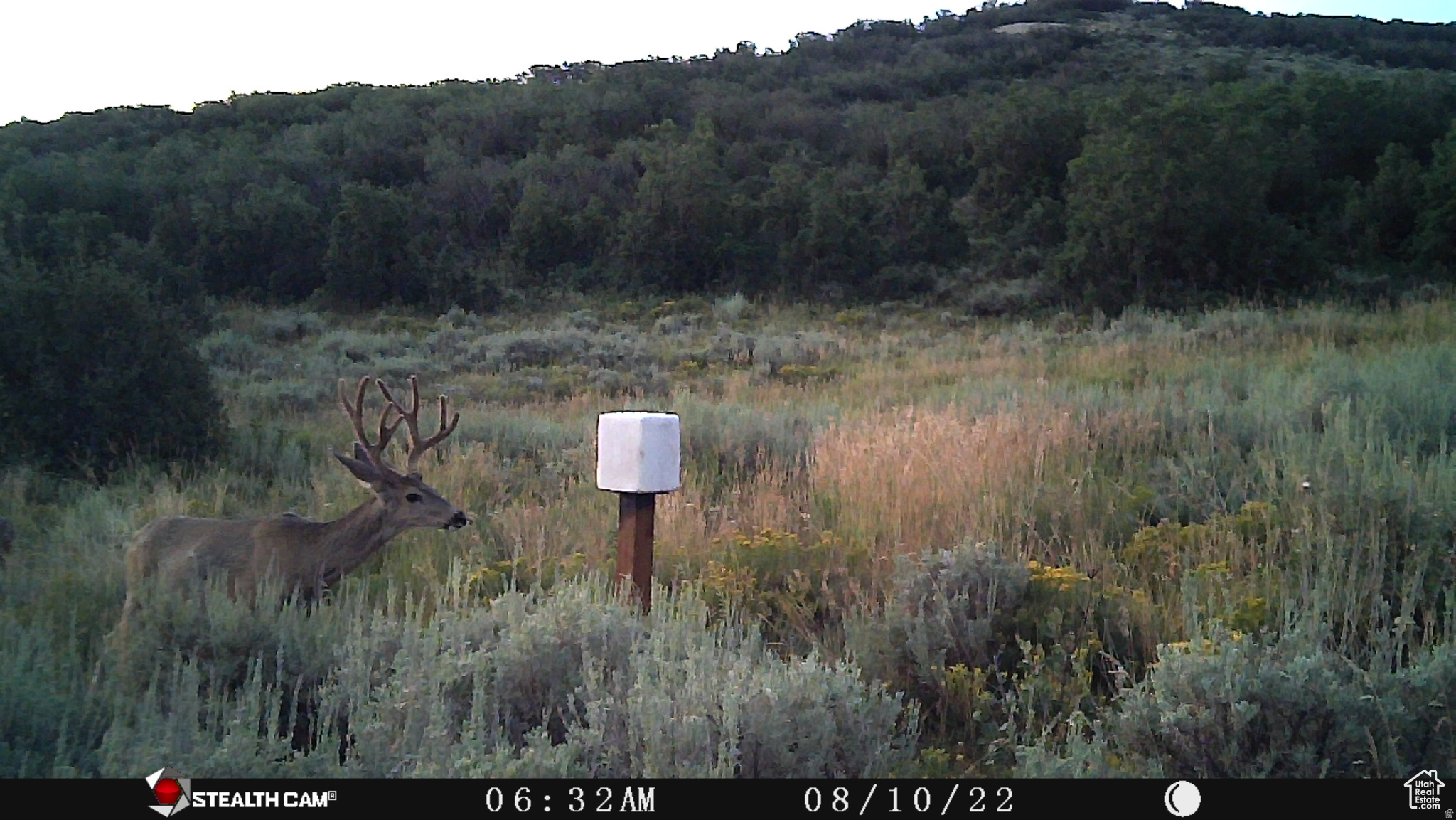 ECHO CREEK RANCHES - Residential