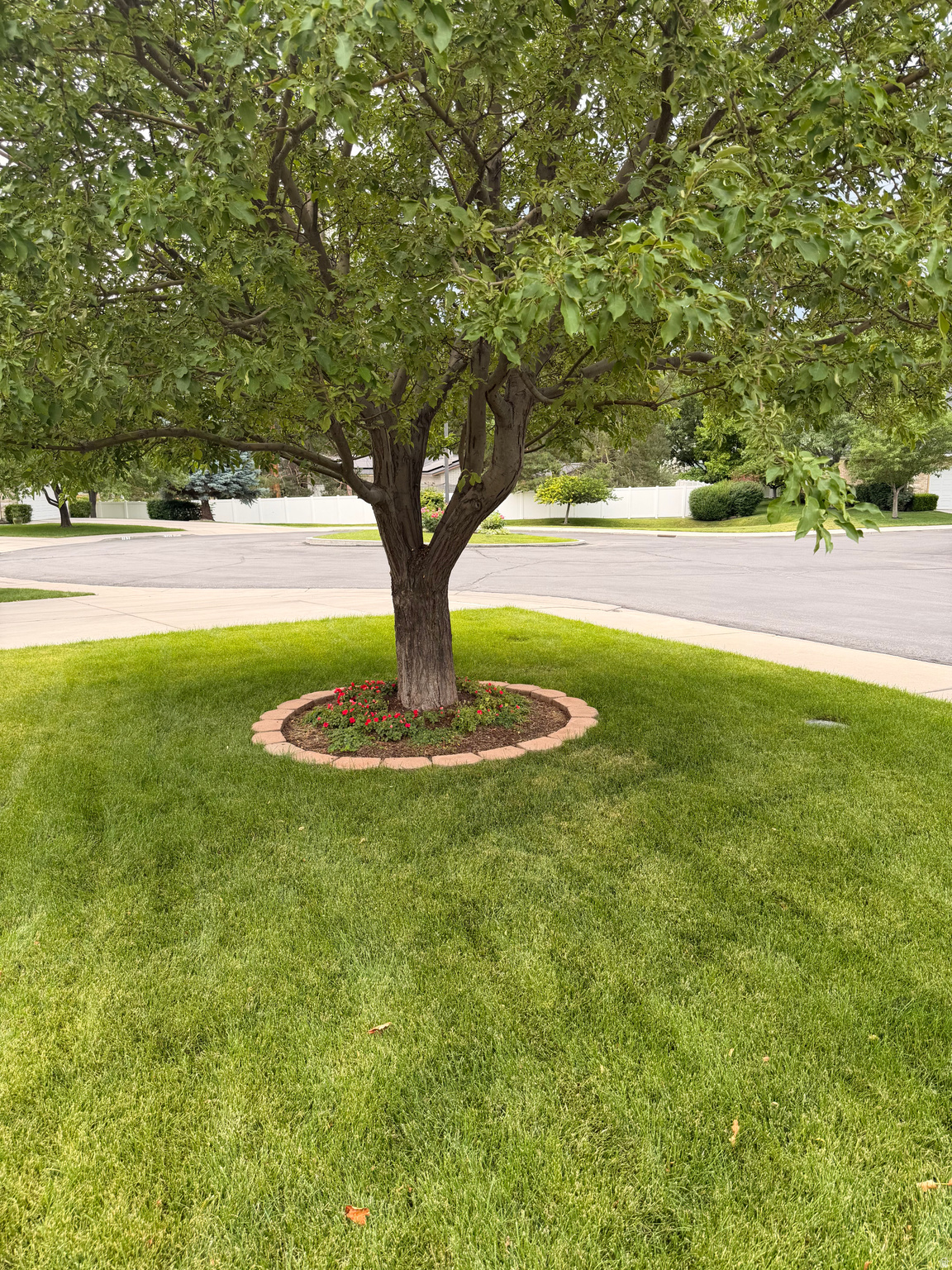 HIDDEN HOLLOW - Residential