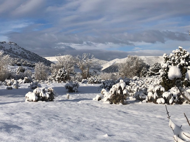 NORTH SUMMIT - Residential