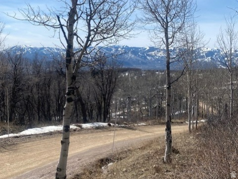 FOREST MEADOW SUBDIVISION - Land
