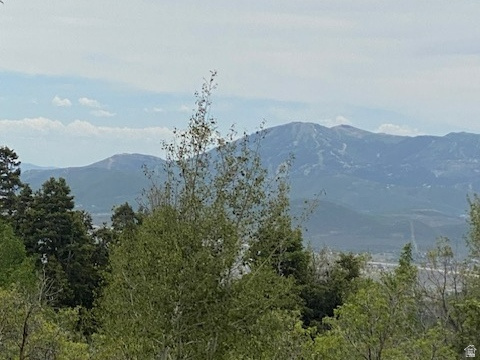FOREST MEADOW SUBDIVISION - Land