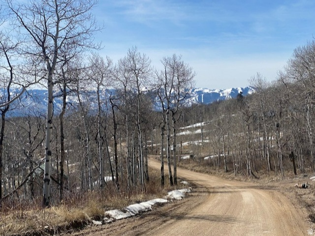 FOREST MEADOW SUBDIVISION - Land