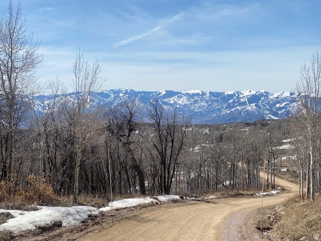 FOREST MEADOW SUBDIVISION - Land
