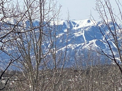 FOREST MEADOW SUBDIVISION - Land