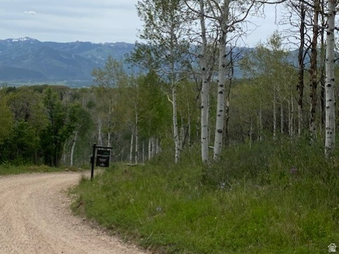 FOREST MEADOW SUBDIVISION - Land