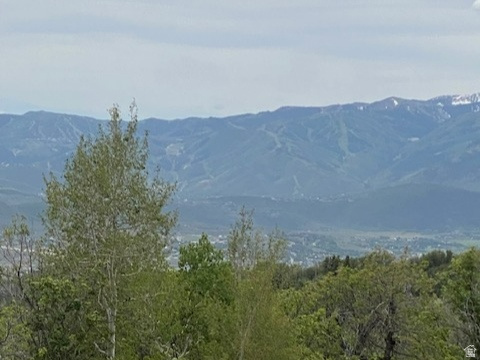 FOREST MEADOW SUBDIVISION - Land