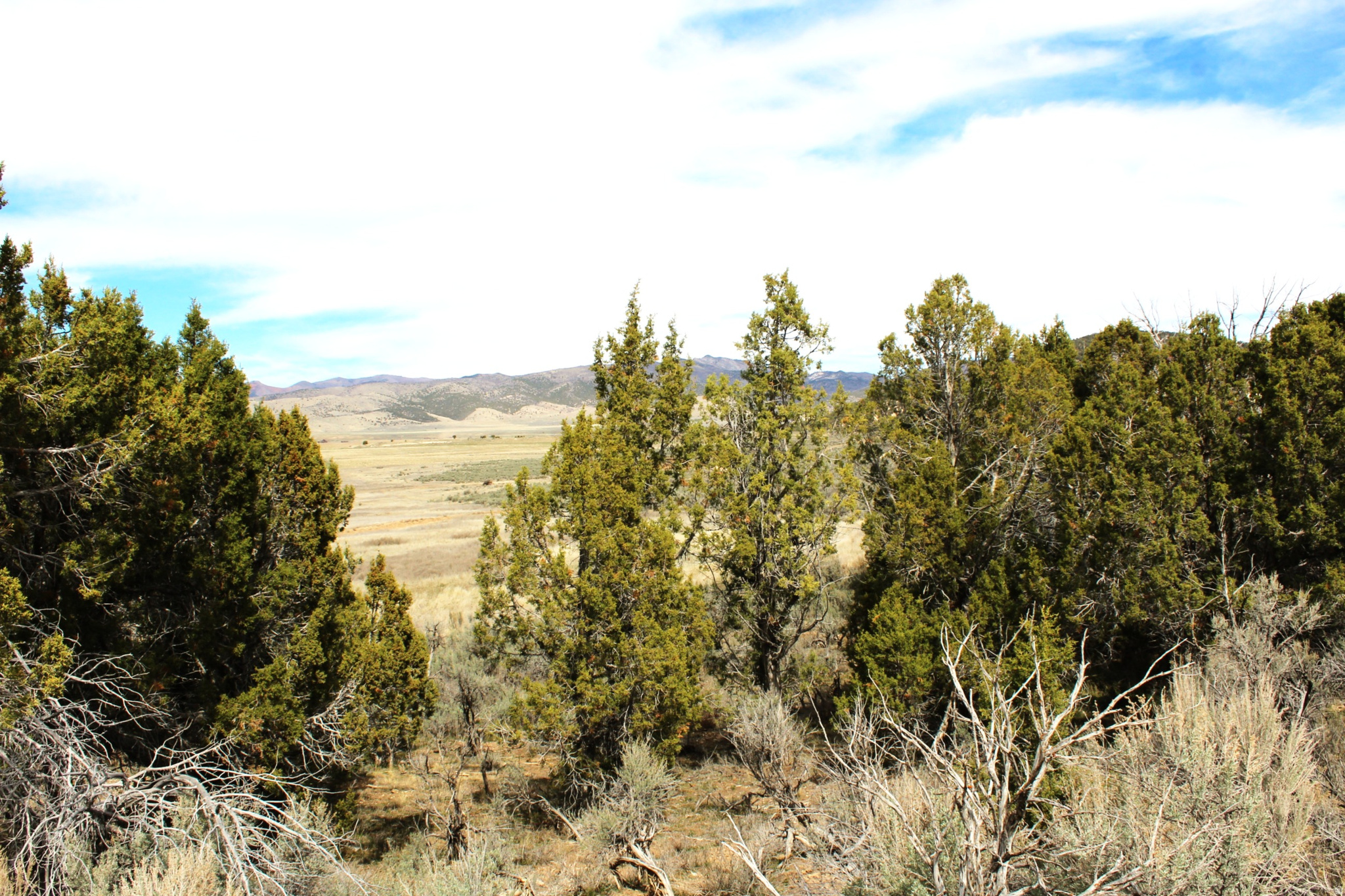 BLACKHAWK MT ESTATE - Land